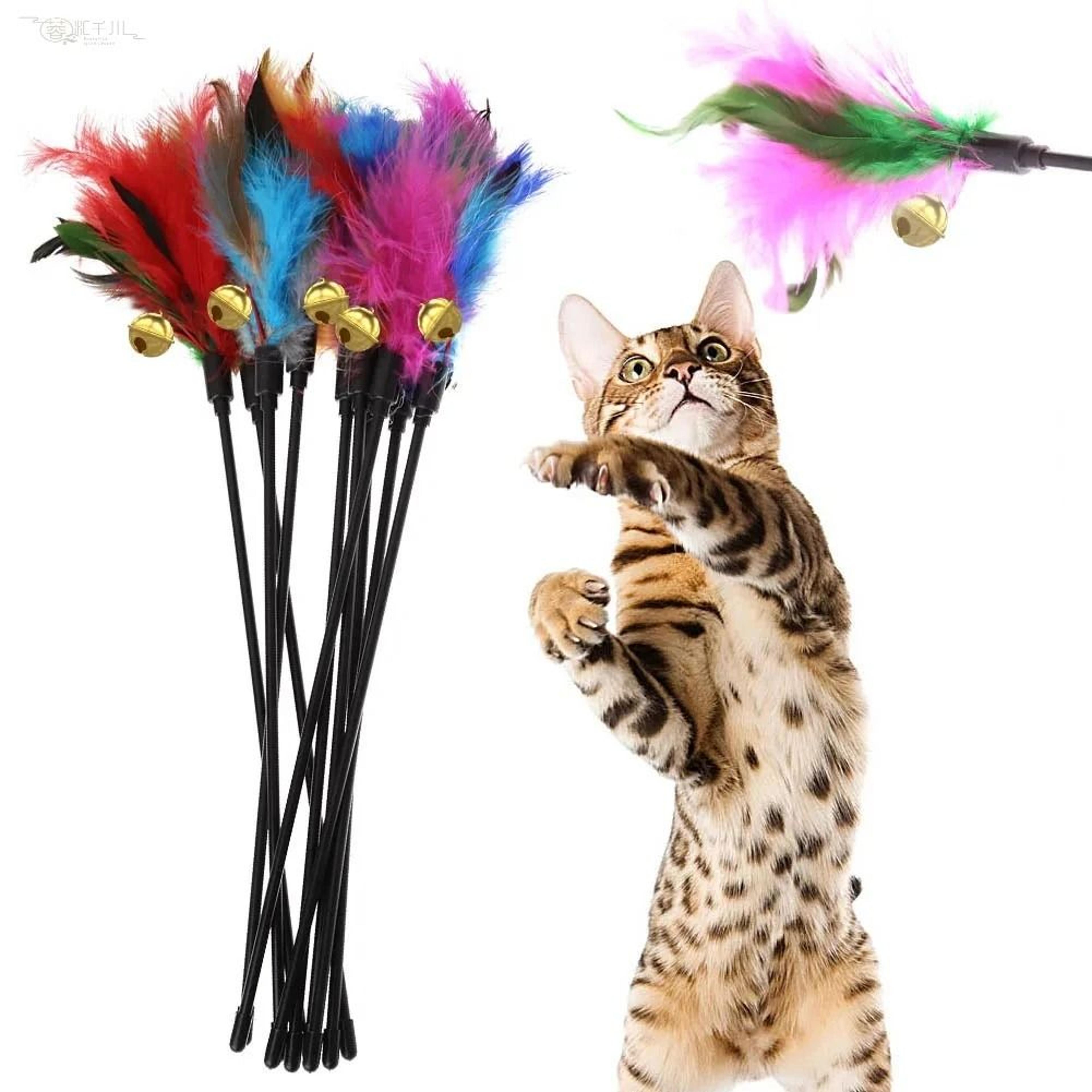 5Piece Colorful Interaction Set 1