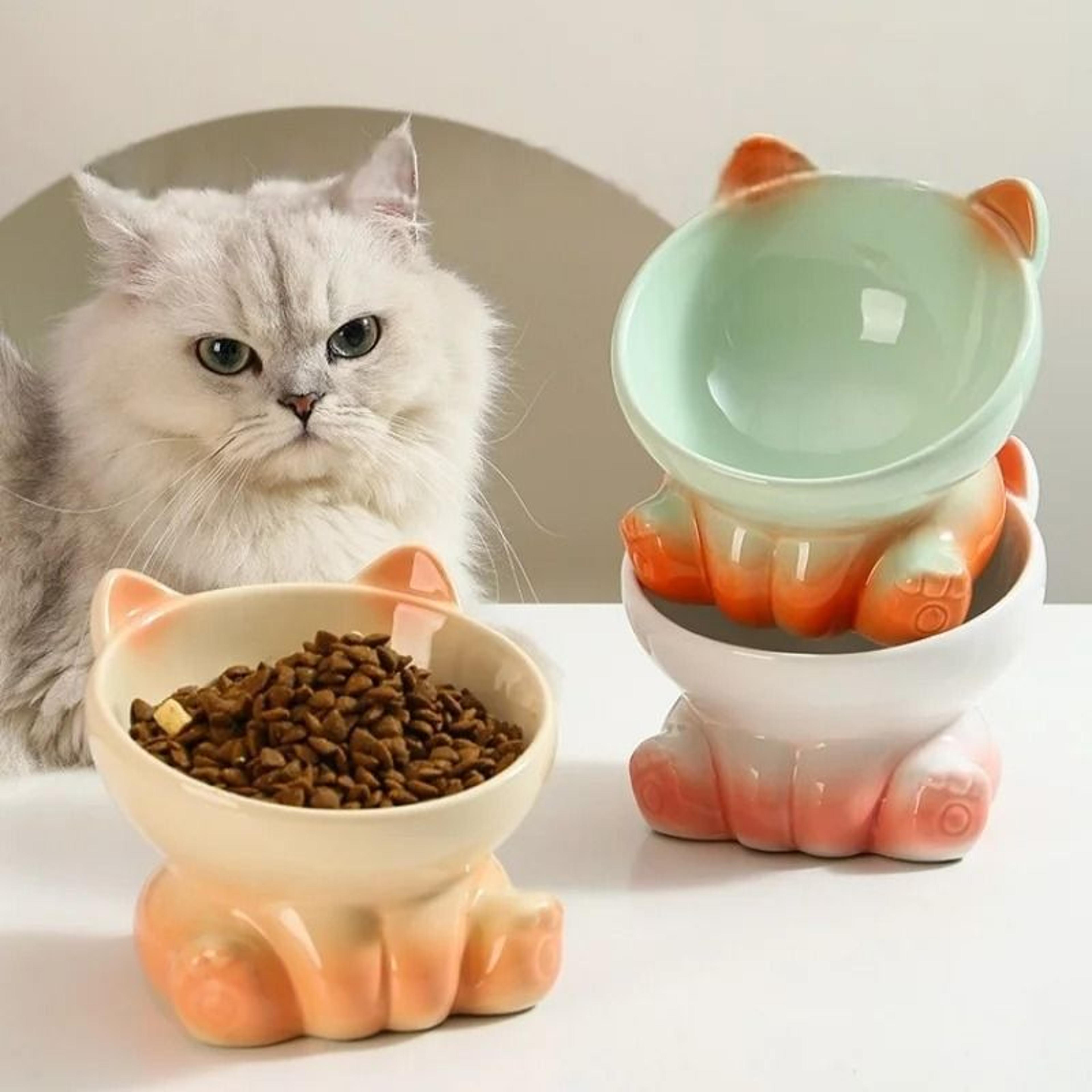 HighPurity Onyx Ceramic CervicalGuard Bowl 4