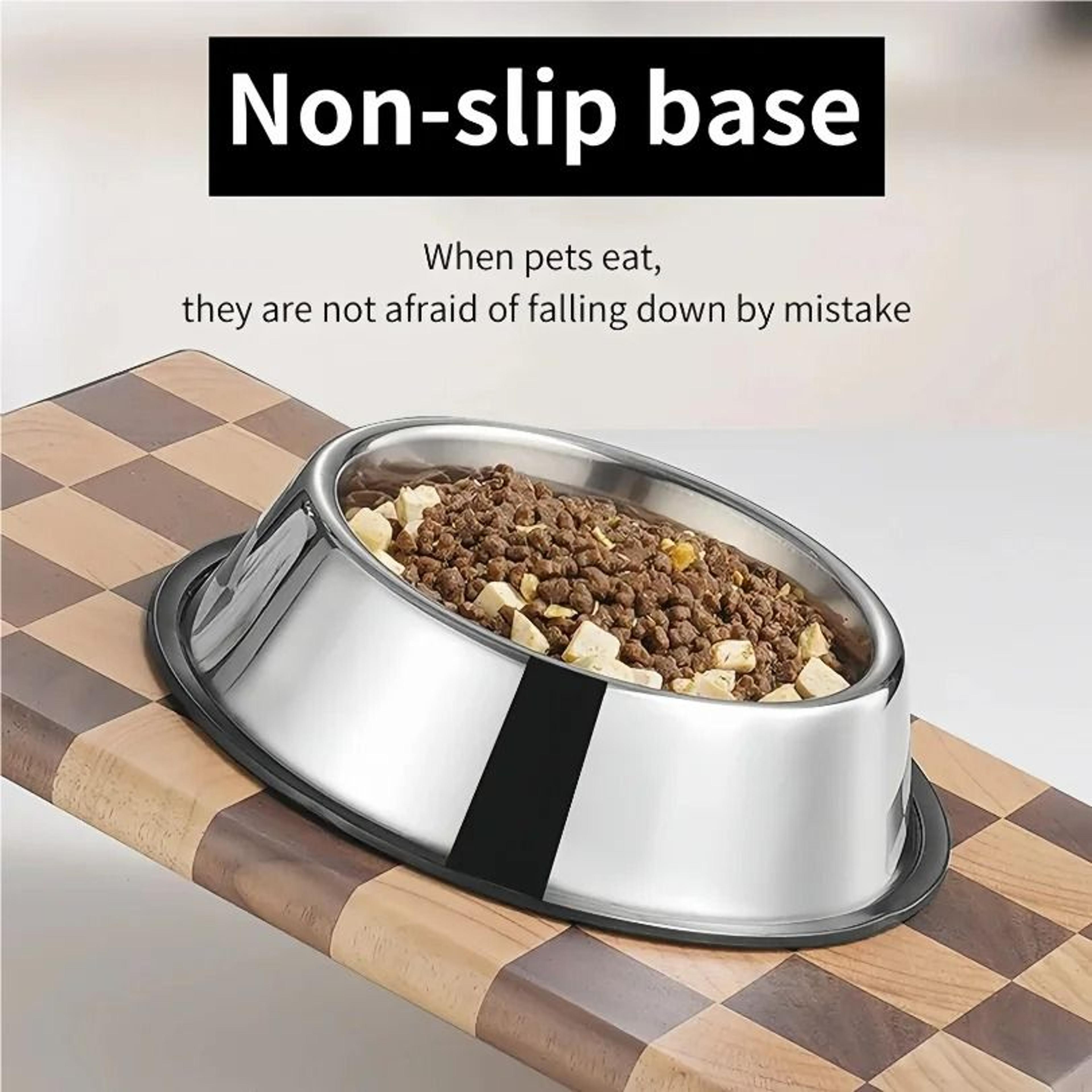HighPurity Stainless Steel Nutritional Basin 2