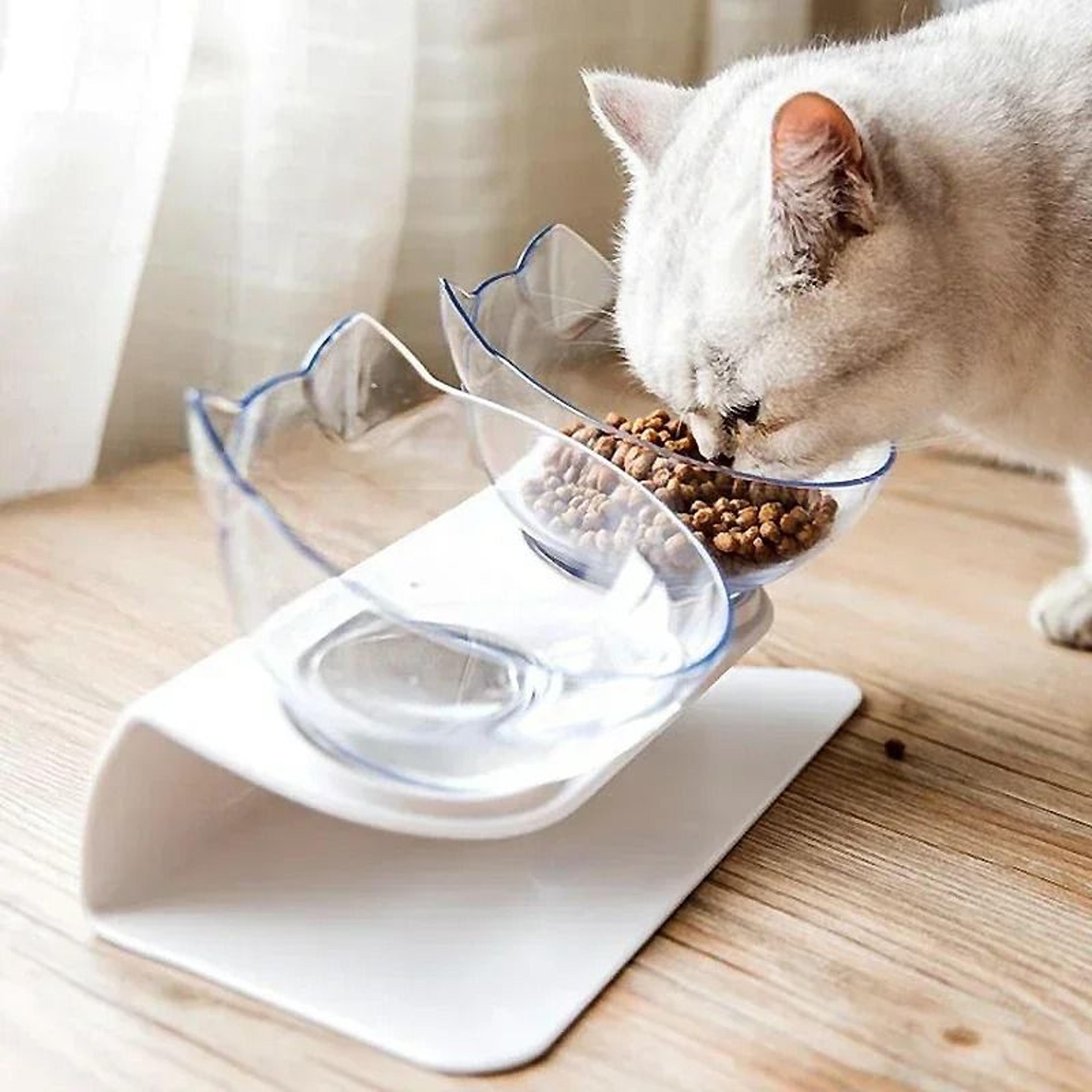 dual-basin ergonomic nutritional station