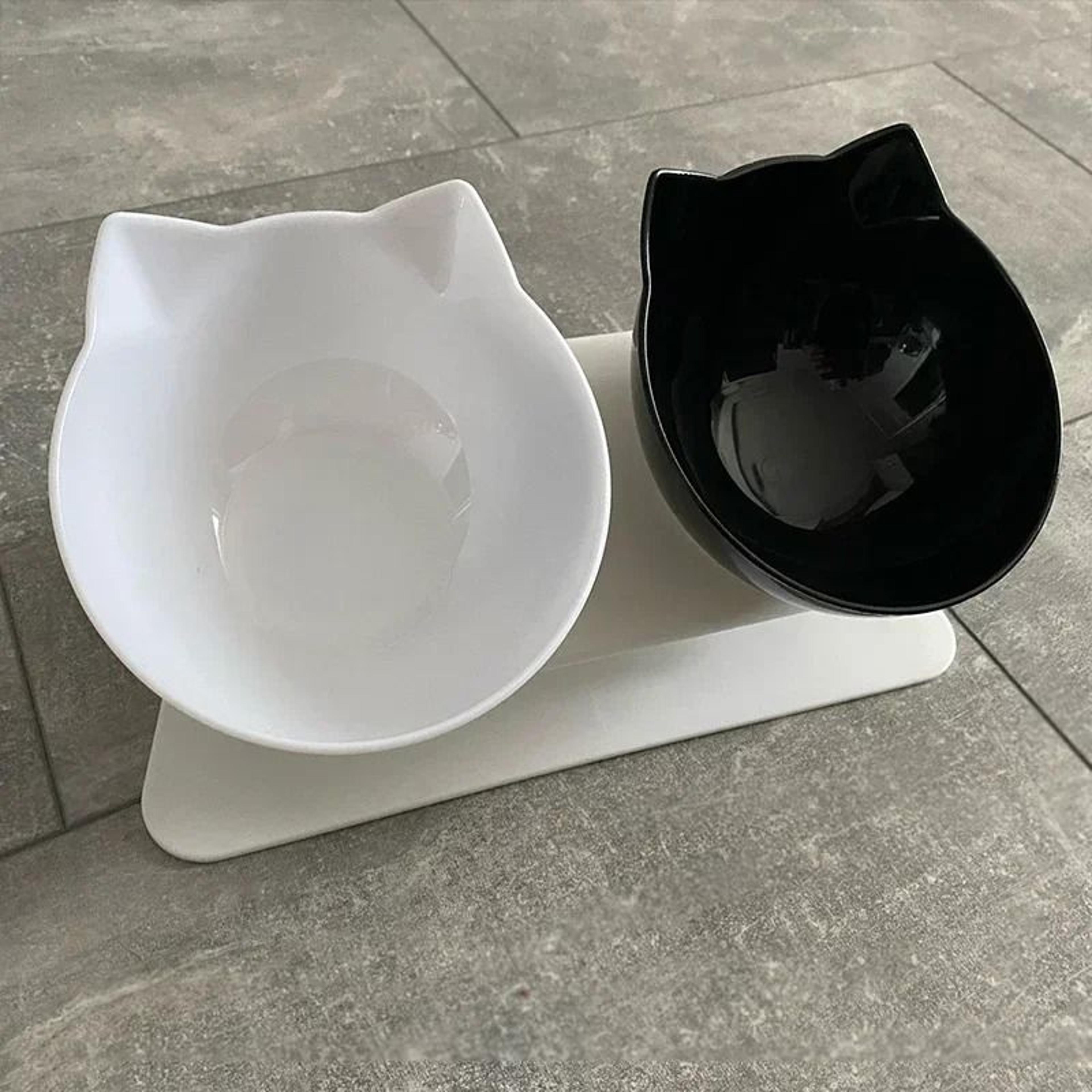 DualBasin Ergonomic Nutritional Station 5