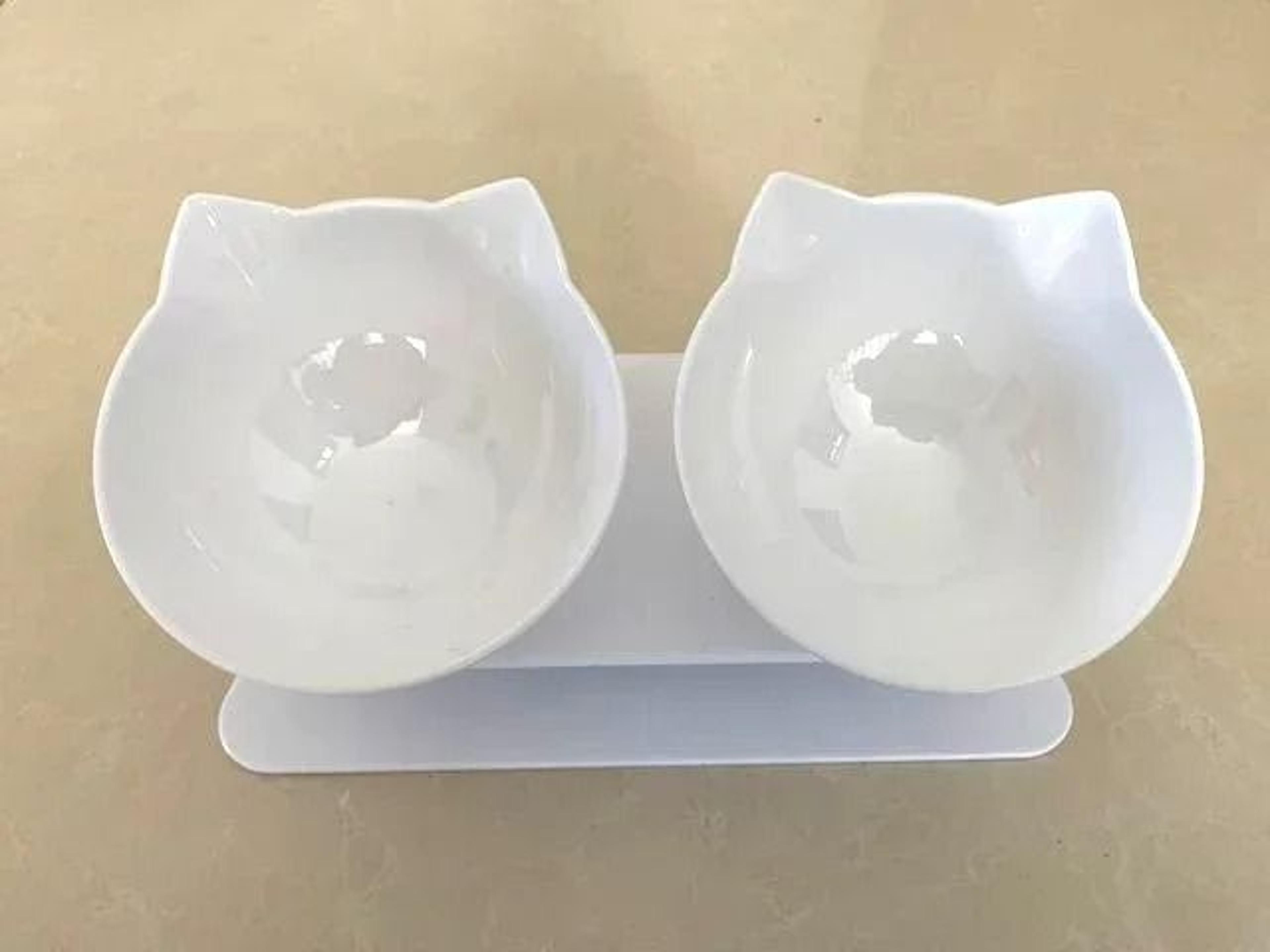 DualBasin Ergonomic Nutritional Station 6