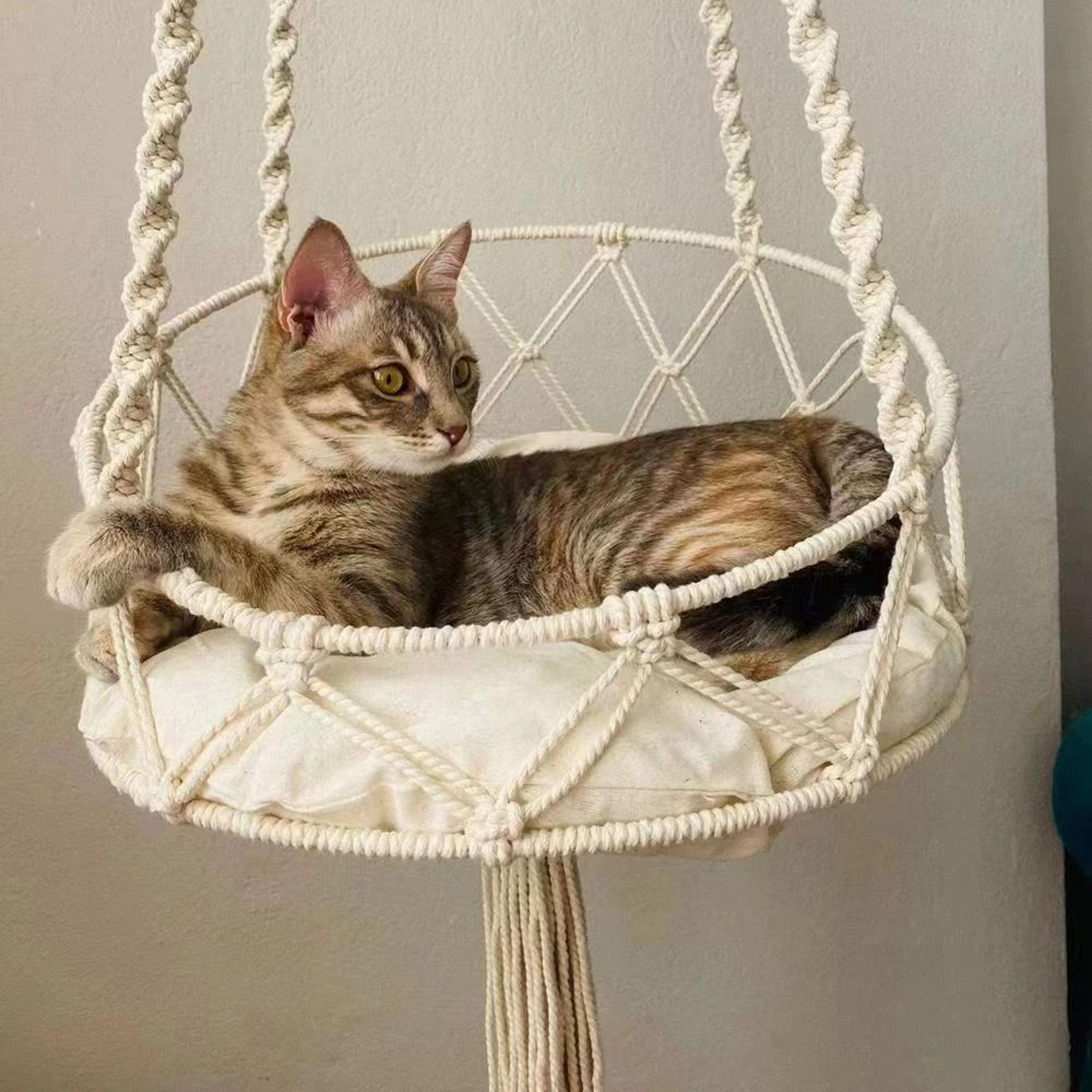 Bohemian HandWoven Suspension Sanctuary 2