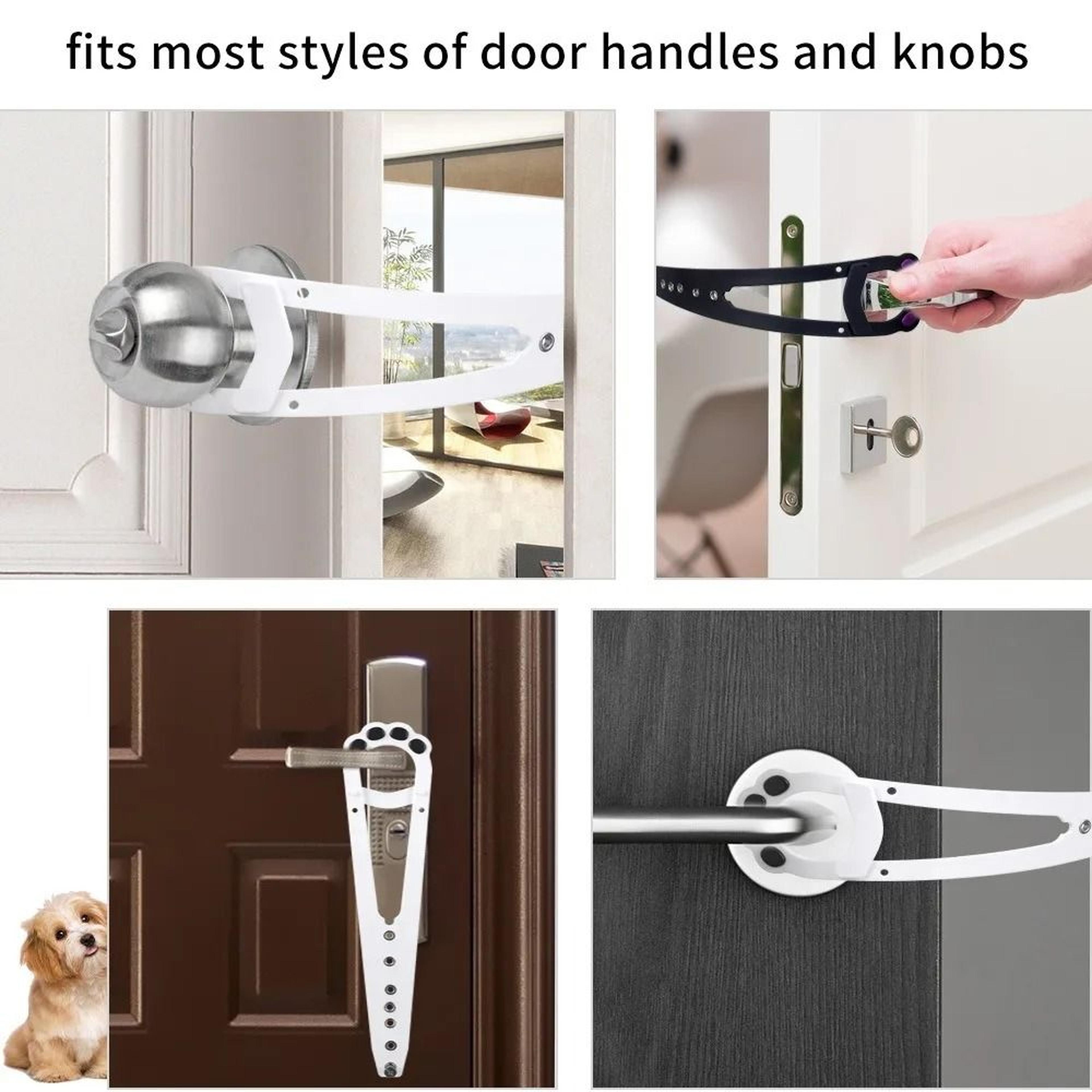 ProGap InterSpecies Perimeter Lock 4