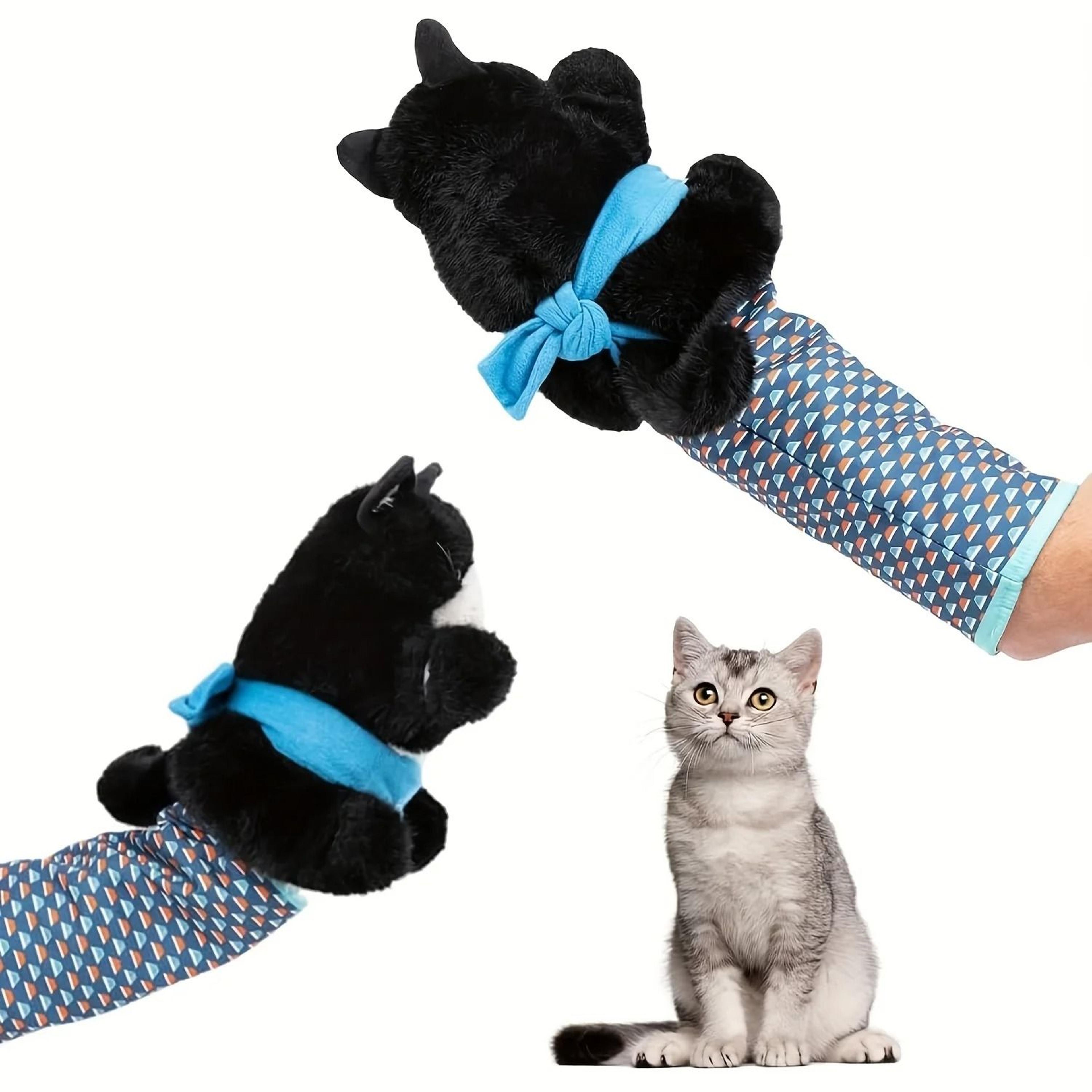 PredatoryEngagement Wrestling Puppet Hub 0