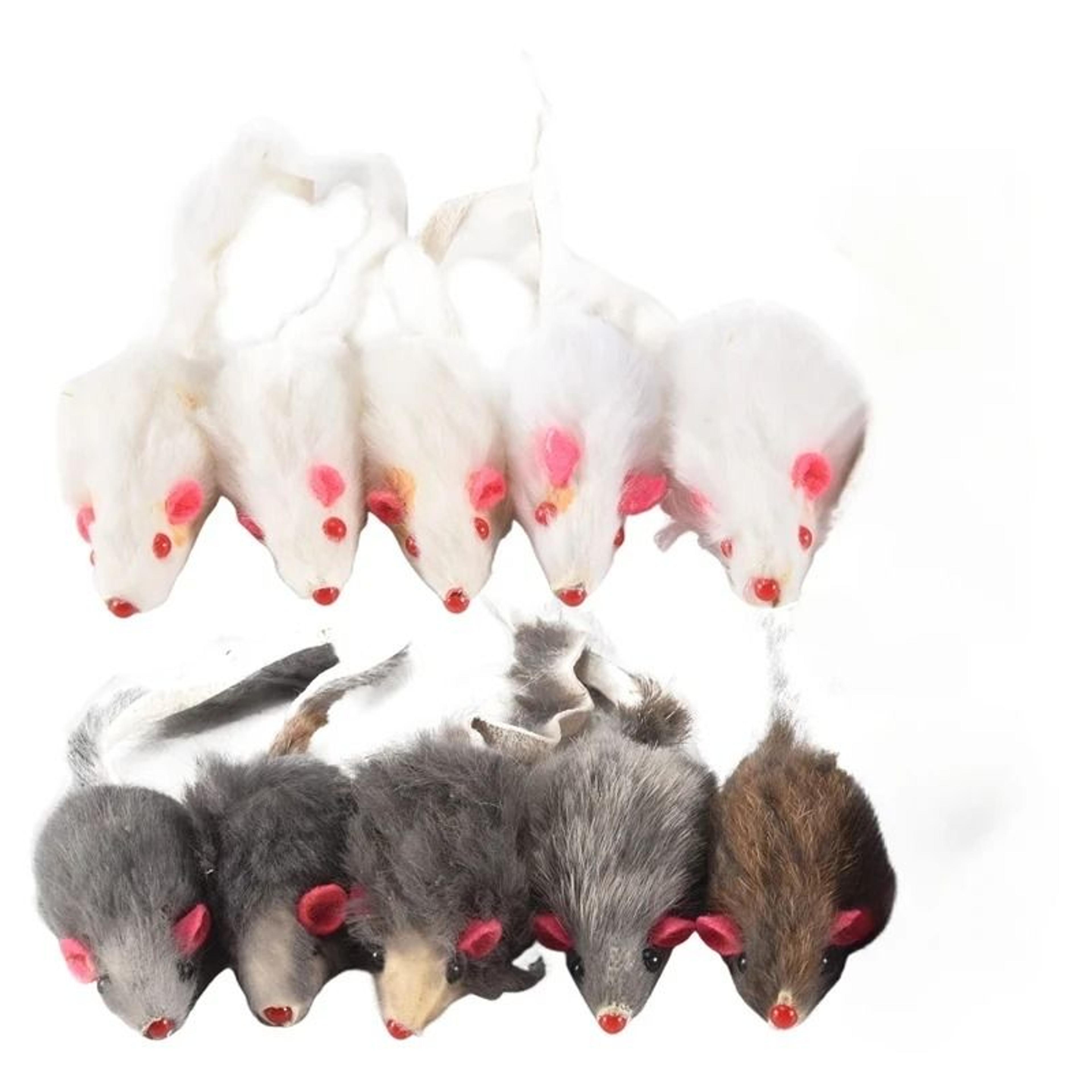 murine mimic interaction module (12-unit bulk pack)