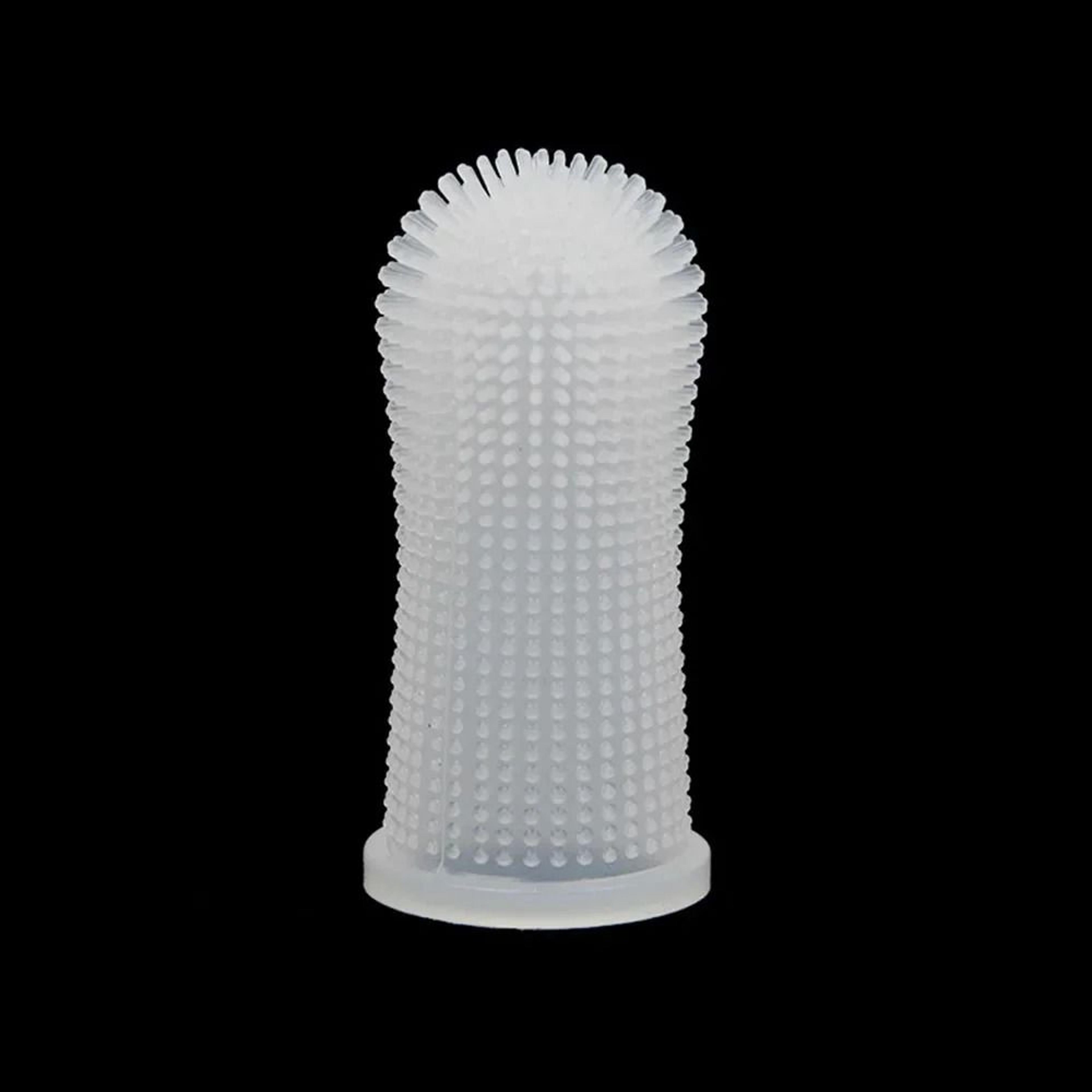 Digital OralSanitization Module 7
