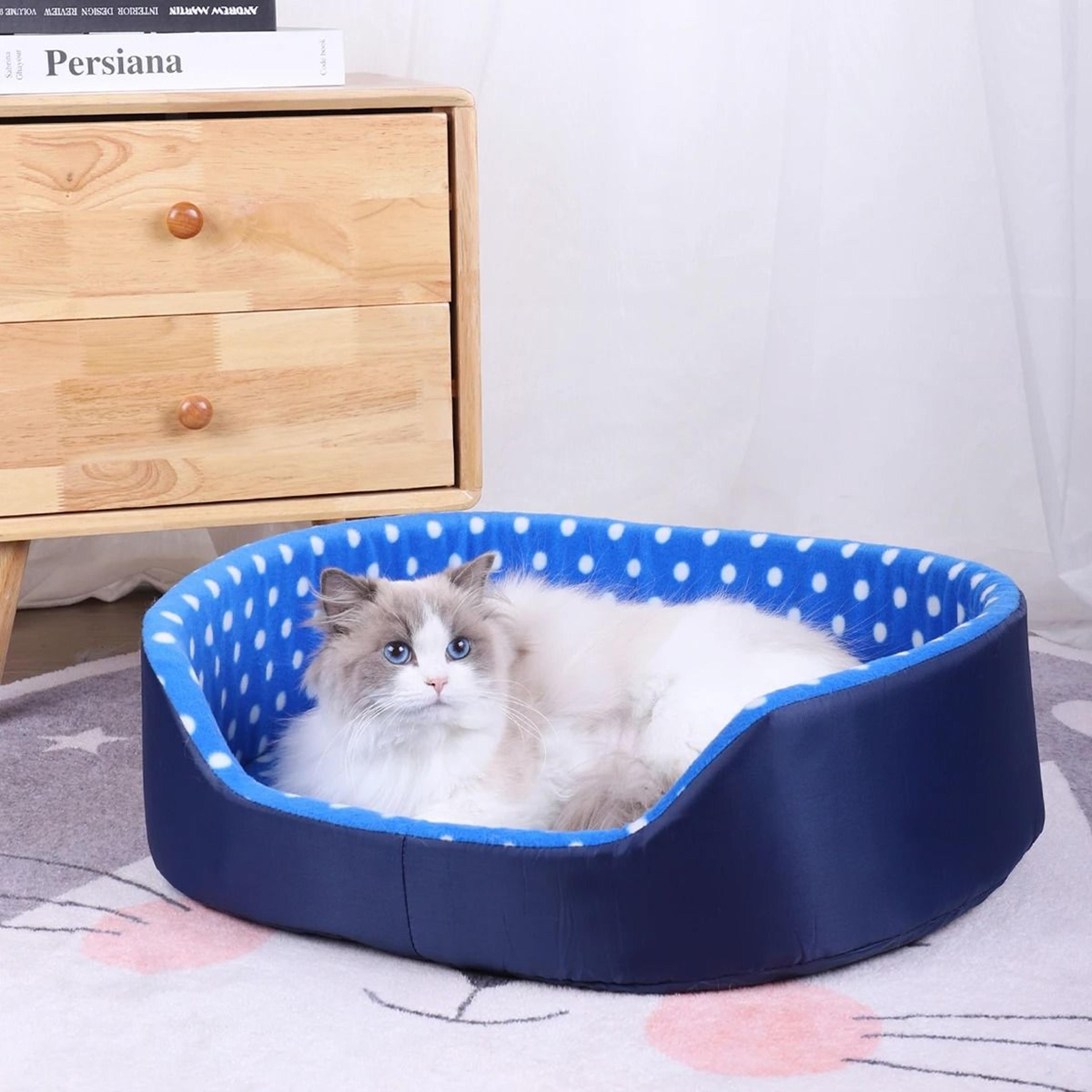 Orthopedic PolkaDot Relaxation Hub 2
