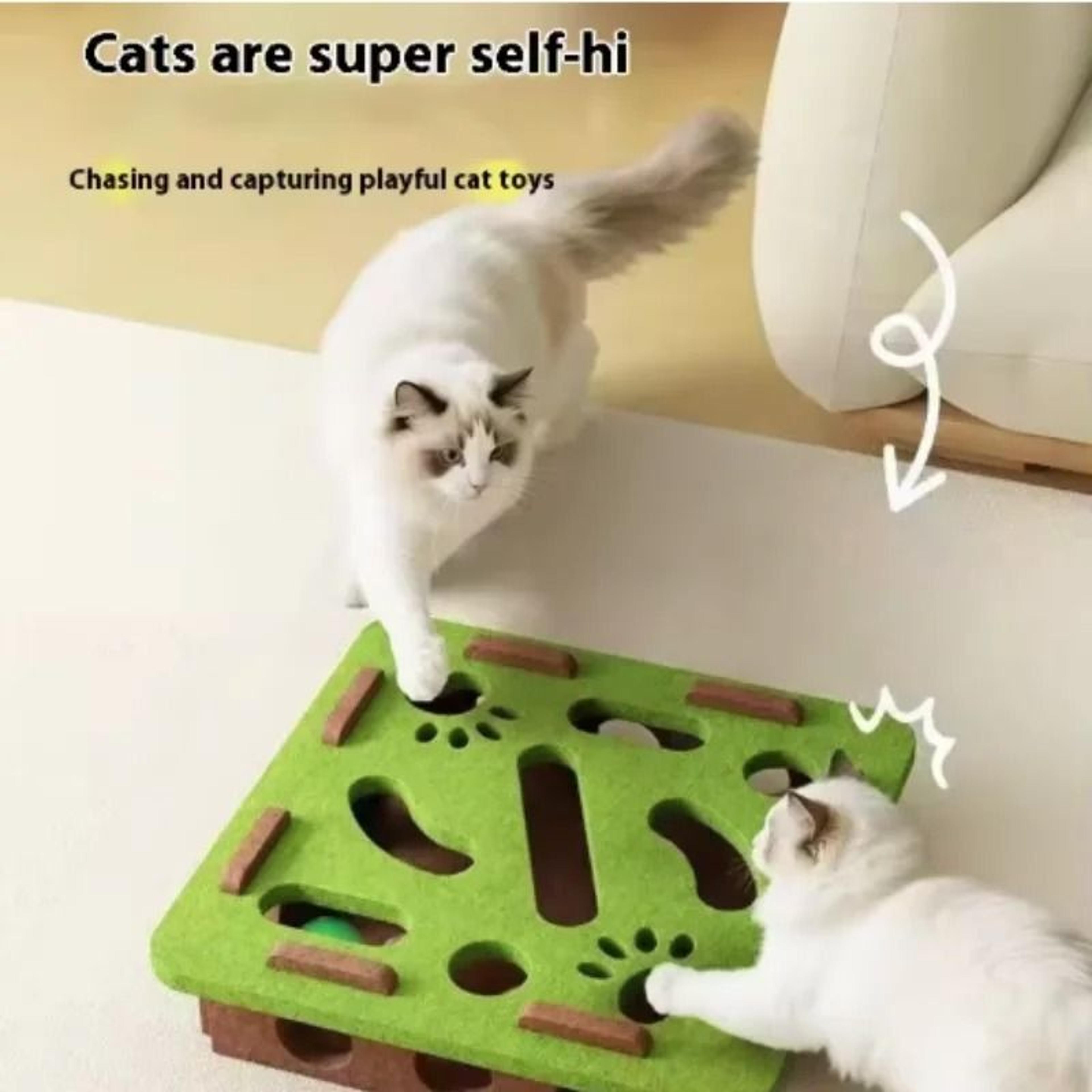FeltMatrix Puzzle Sequestration Hub 0