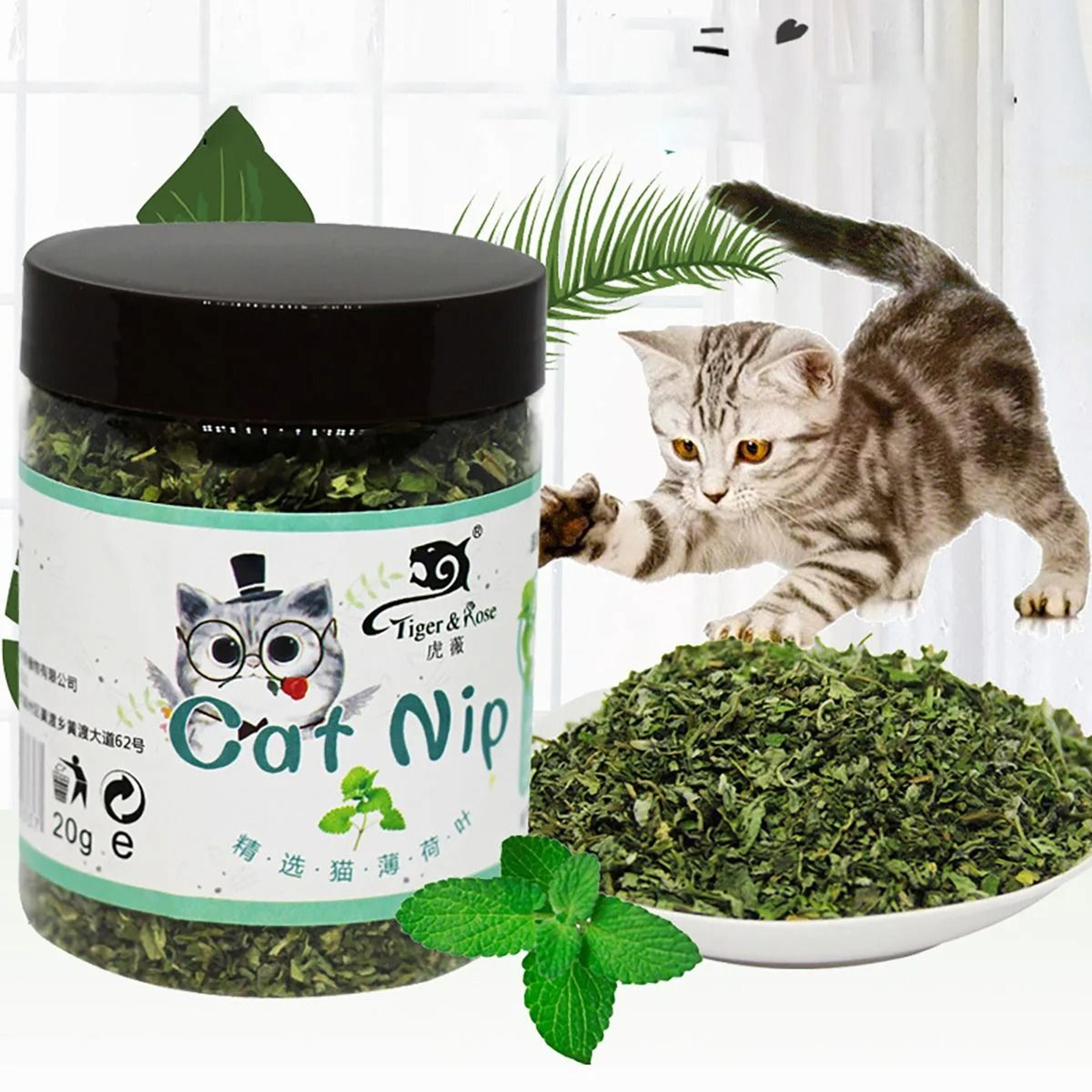 phyto-euphoric metabolic enrichment hub