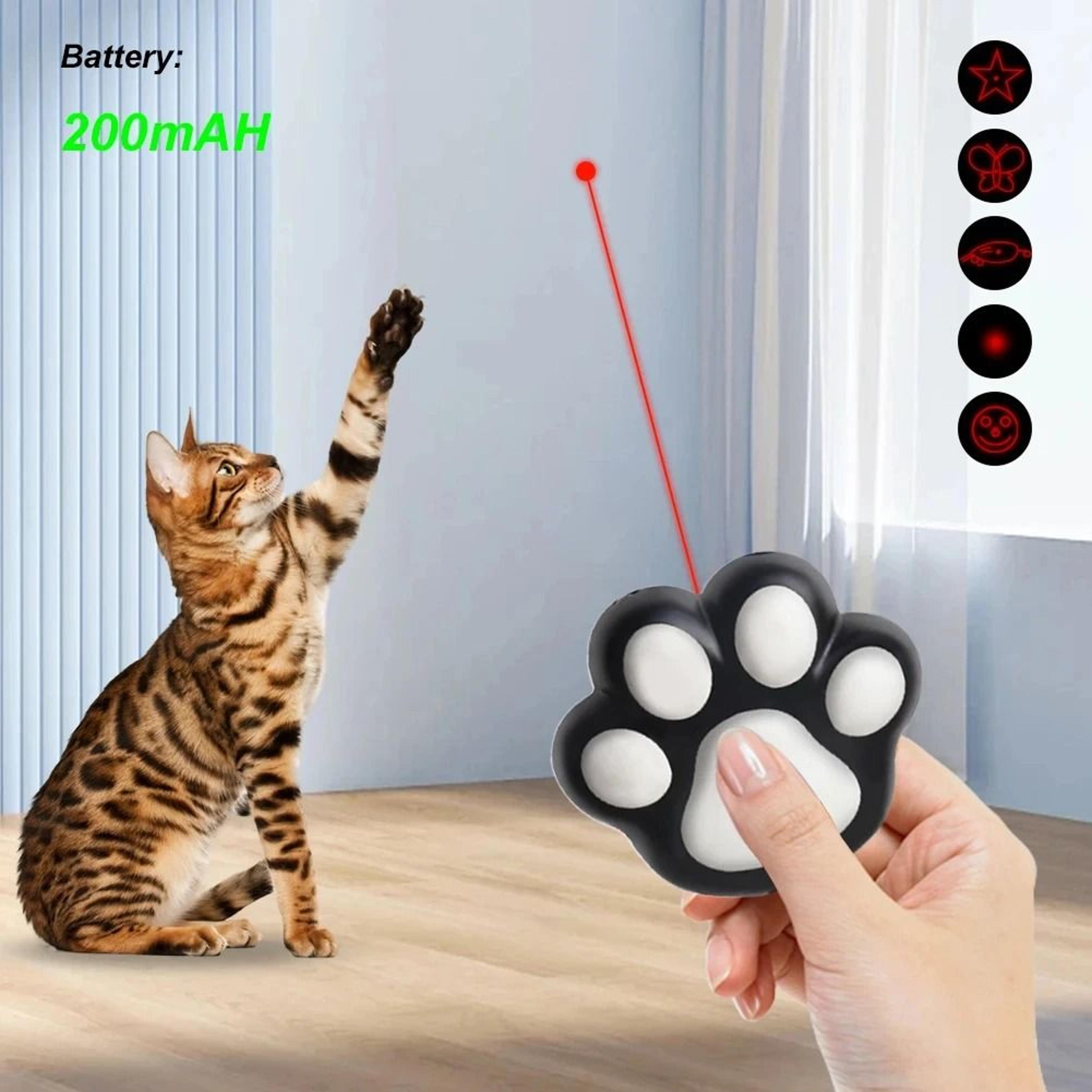 3in1 USB Rechargeable Laser Toy 0