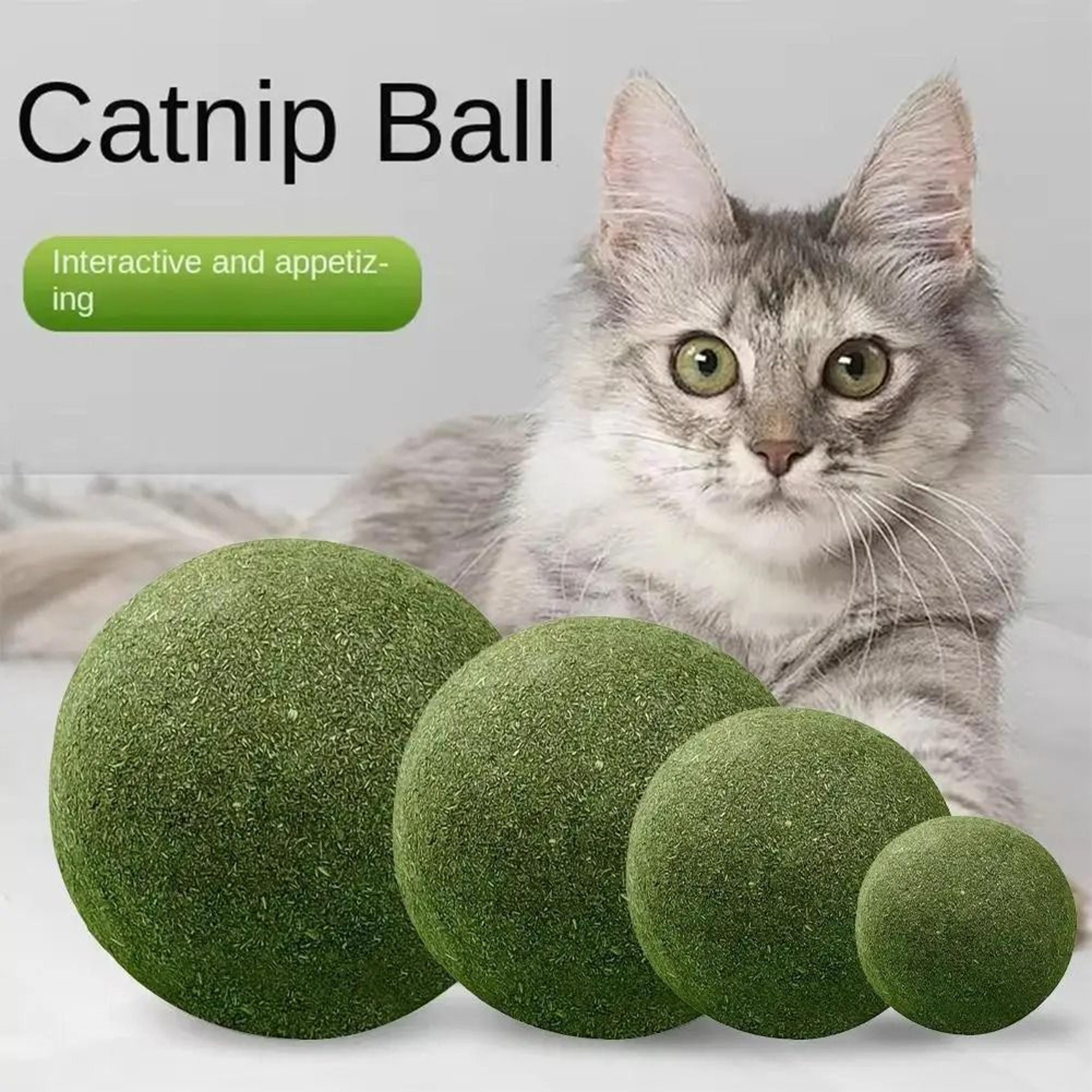 Giant Natural Catnip Licking Ball 0