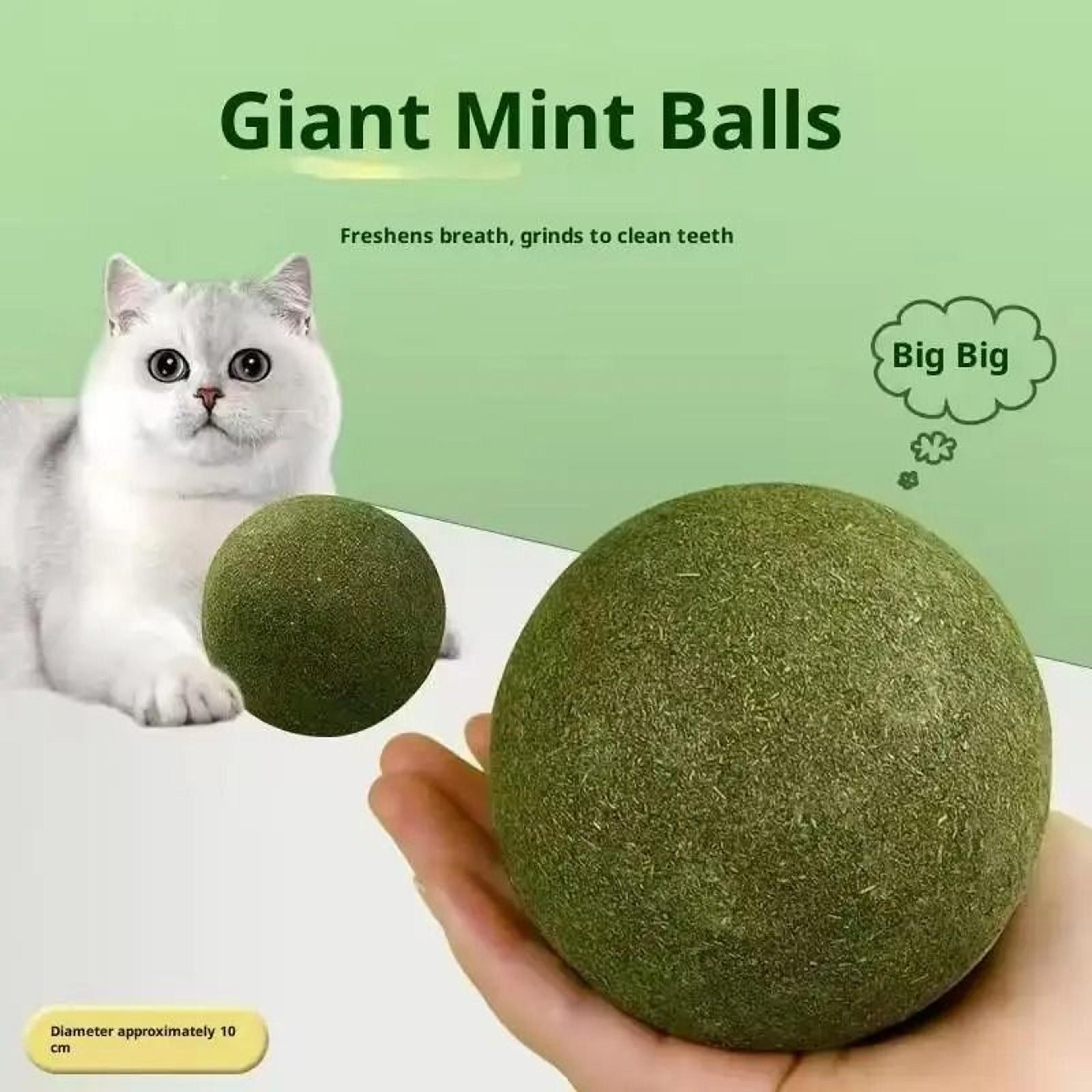Giant Natural Catnip Licking Ball 4