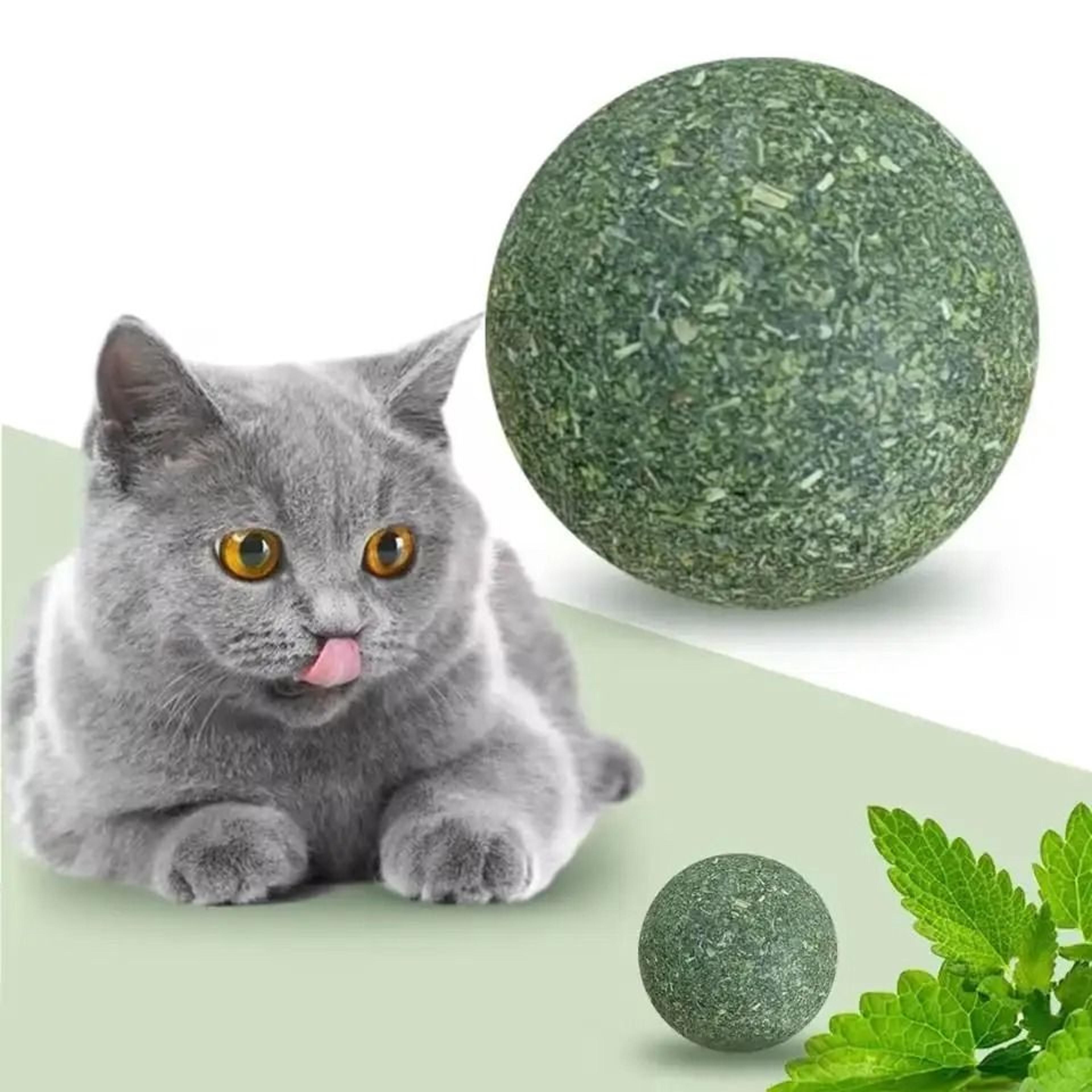 Giant Natural Catnip Licking Ball 5