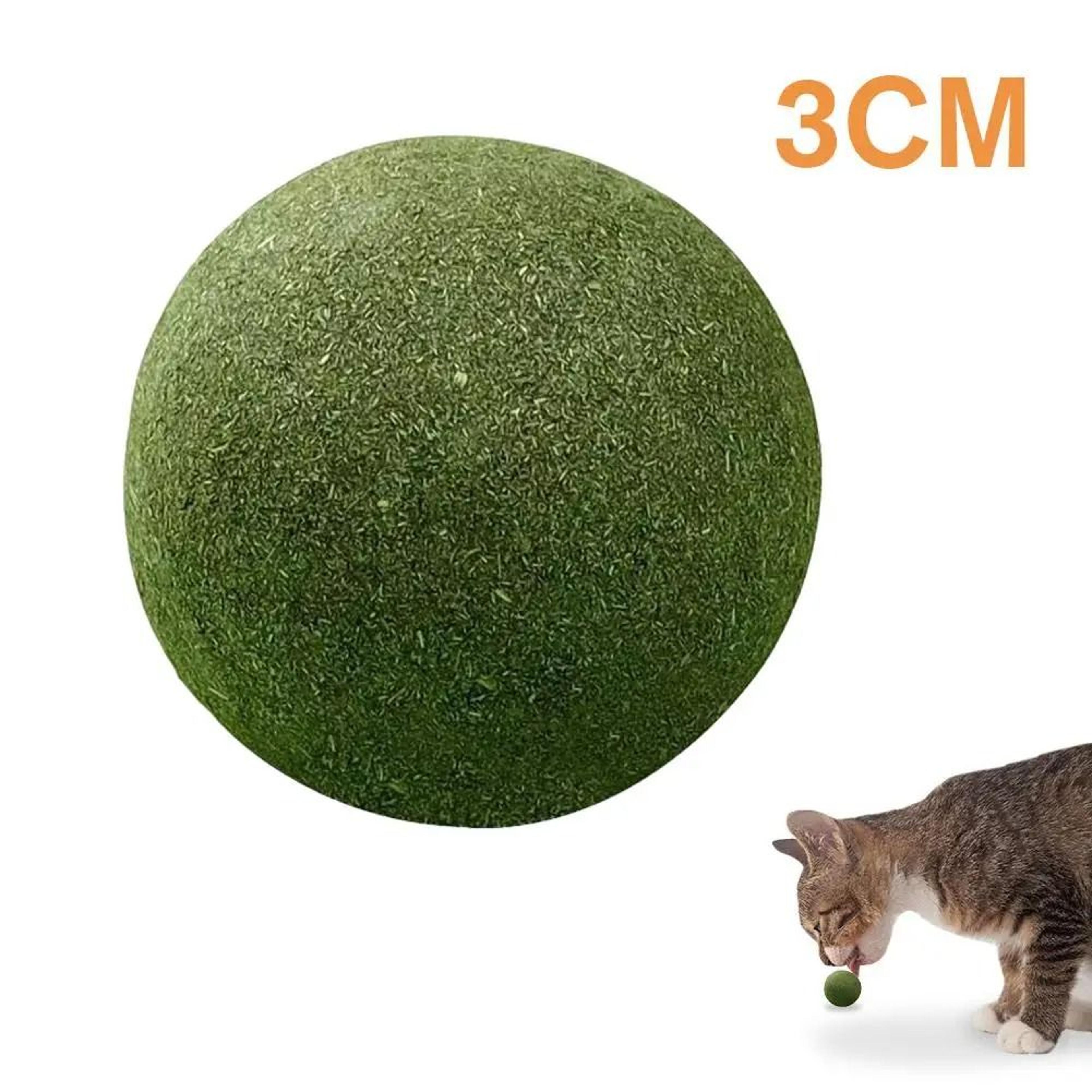 Giant Natural Catnip Licking Ball 6