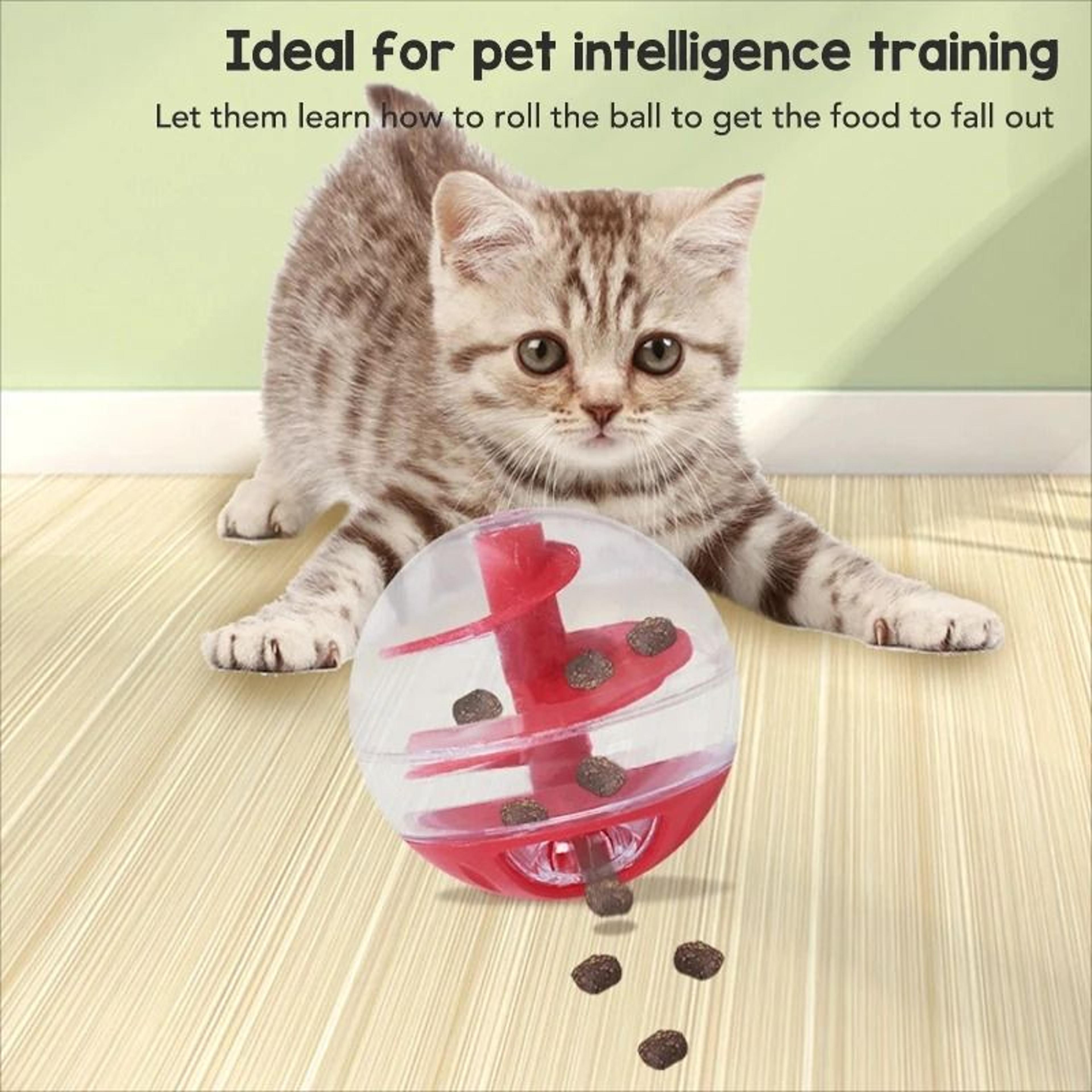 Interactive IQ Puzzle Treat Dispensing Ball 0