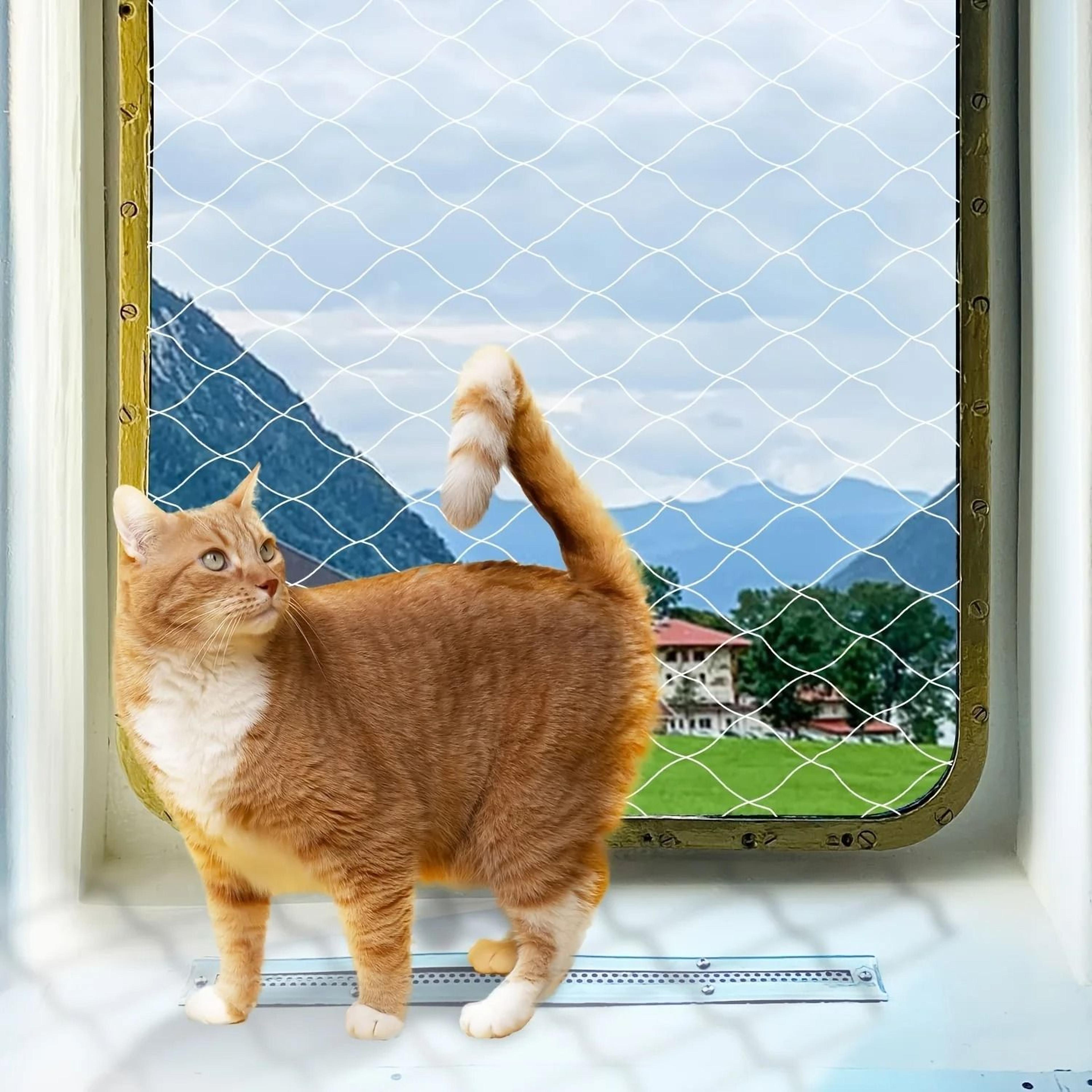 transparent safety net for balconies and stairs