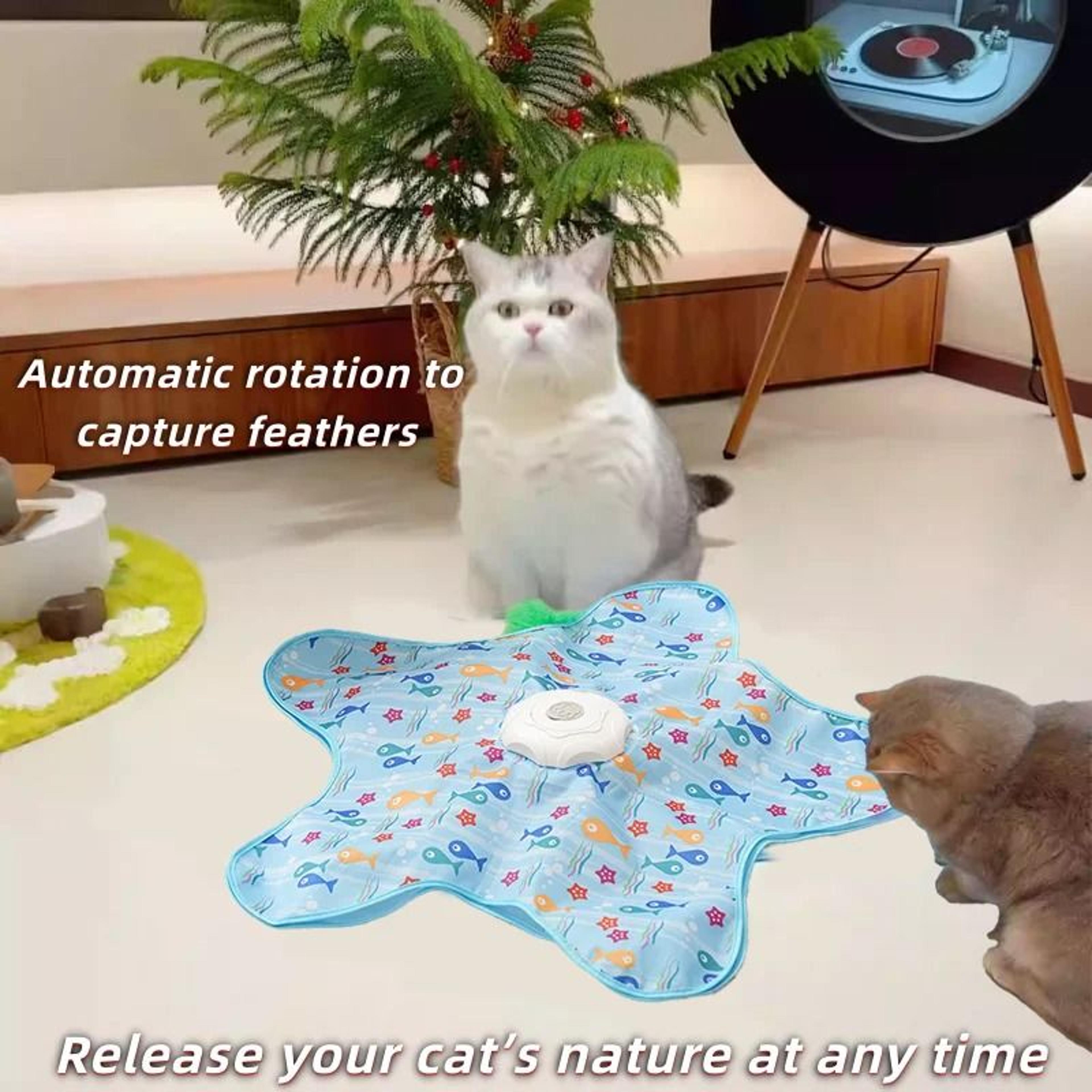 pet hide-and-seek interactive turntable toy