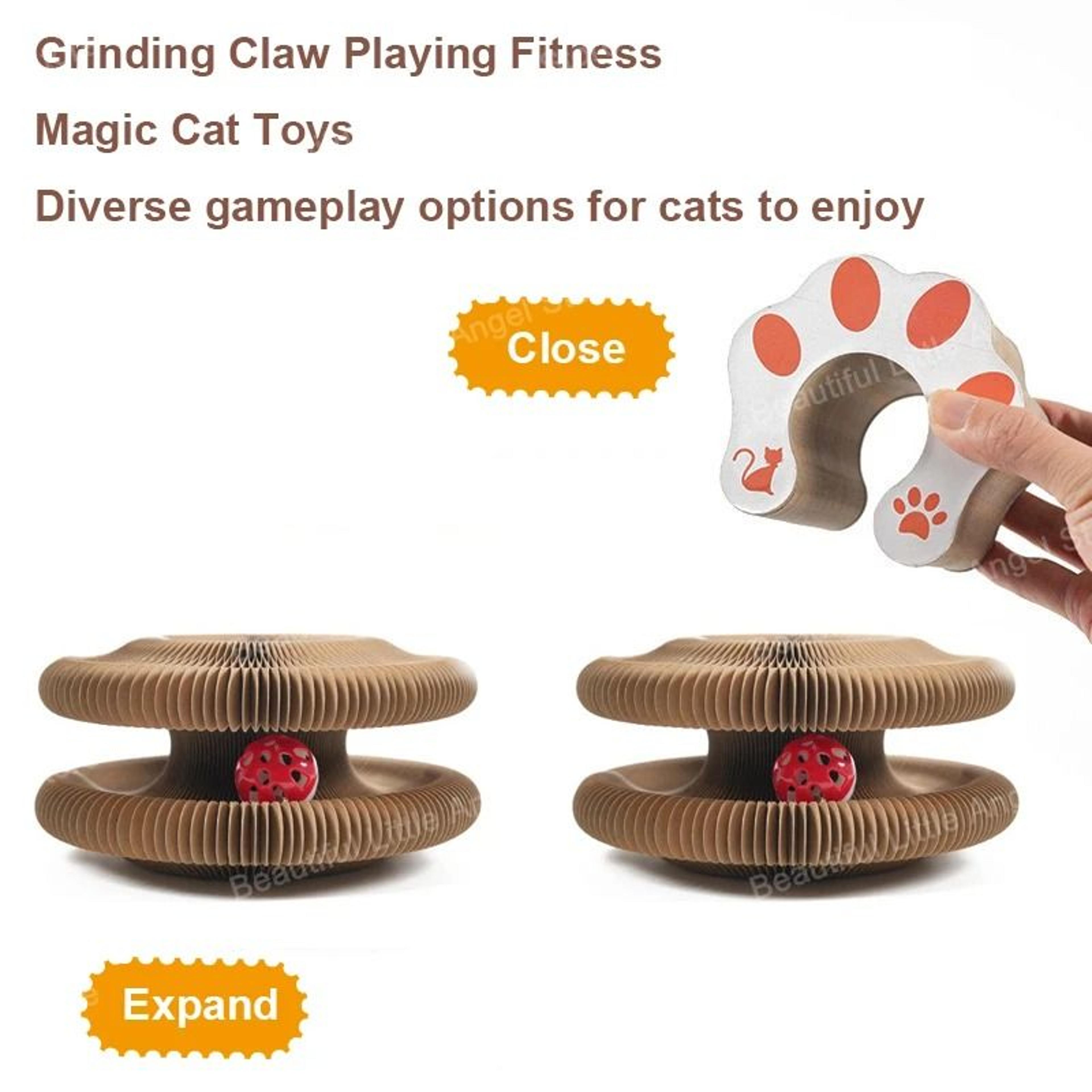 Magic Organ Deluxe Modular Scratcher  Climbing Track 6