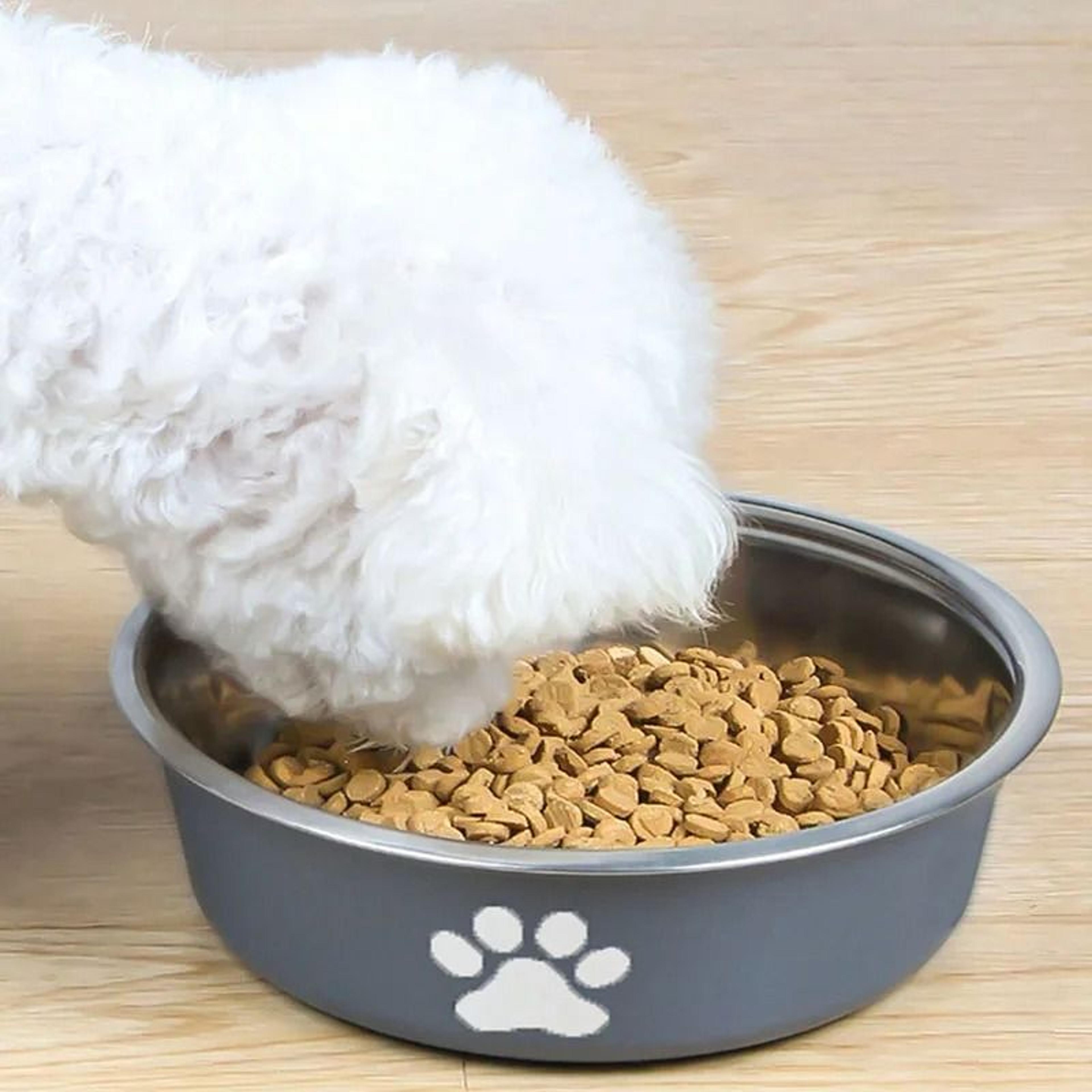 Premium Stainless Steel NonSlip Pet Bowl 2