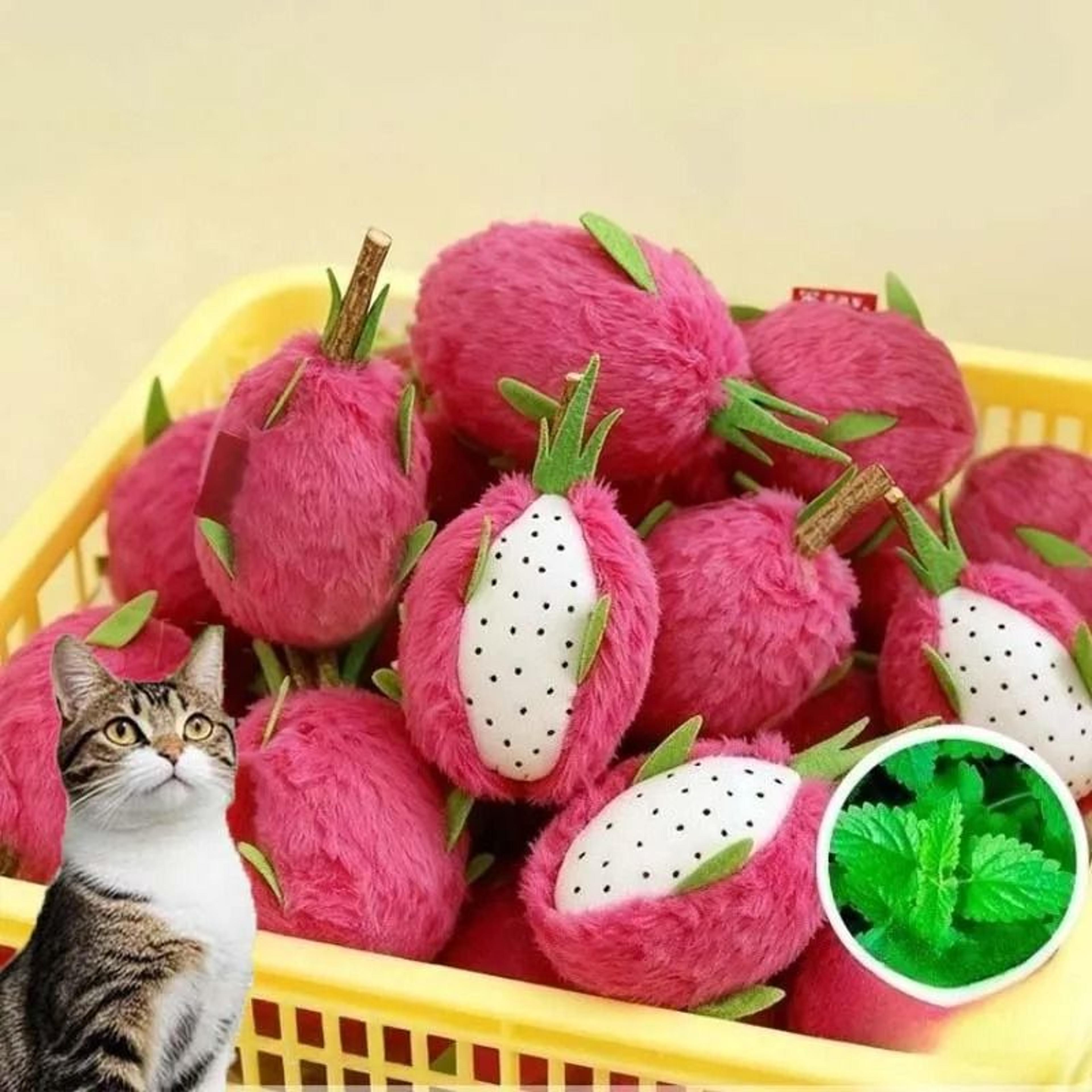 dragon fruit plush catnip kicker toy