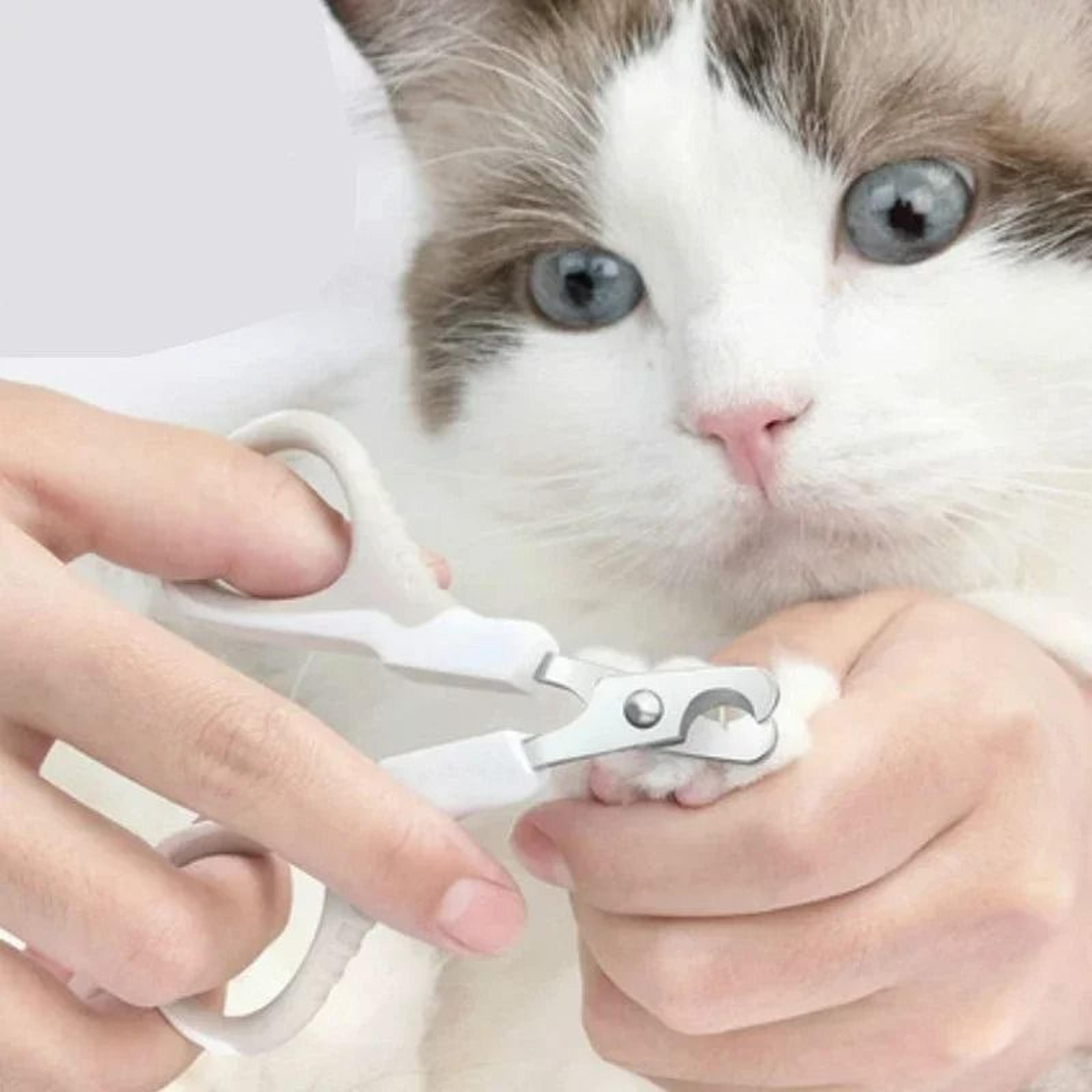 Professional Precision Pet Nail Trimmers 1
