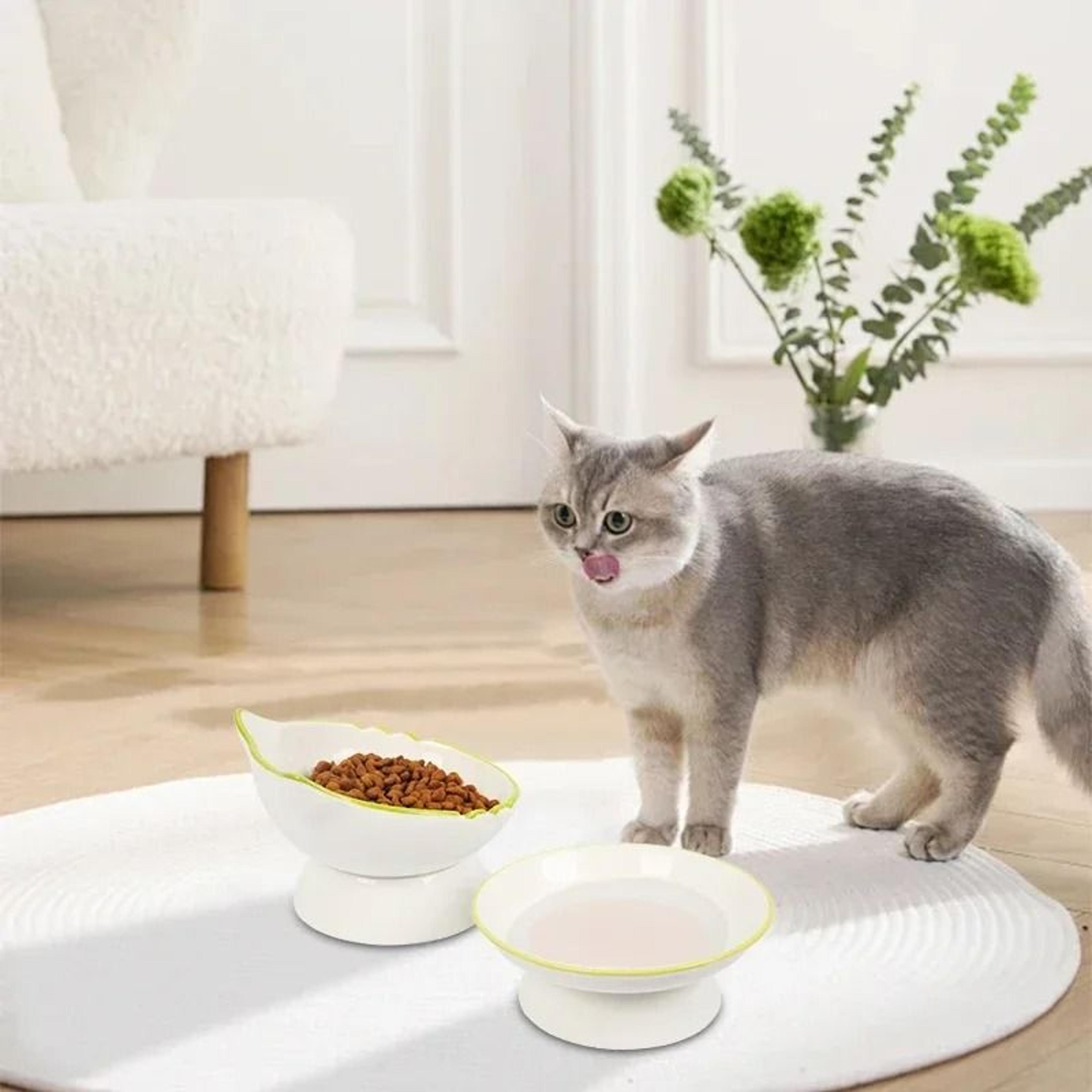ZenLift Ergonomic Elevated Pet Bowl 1