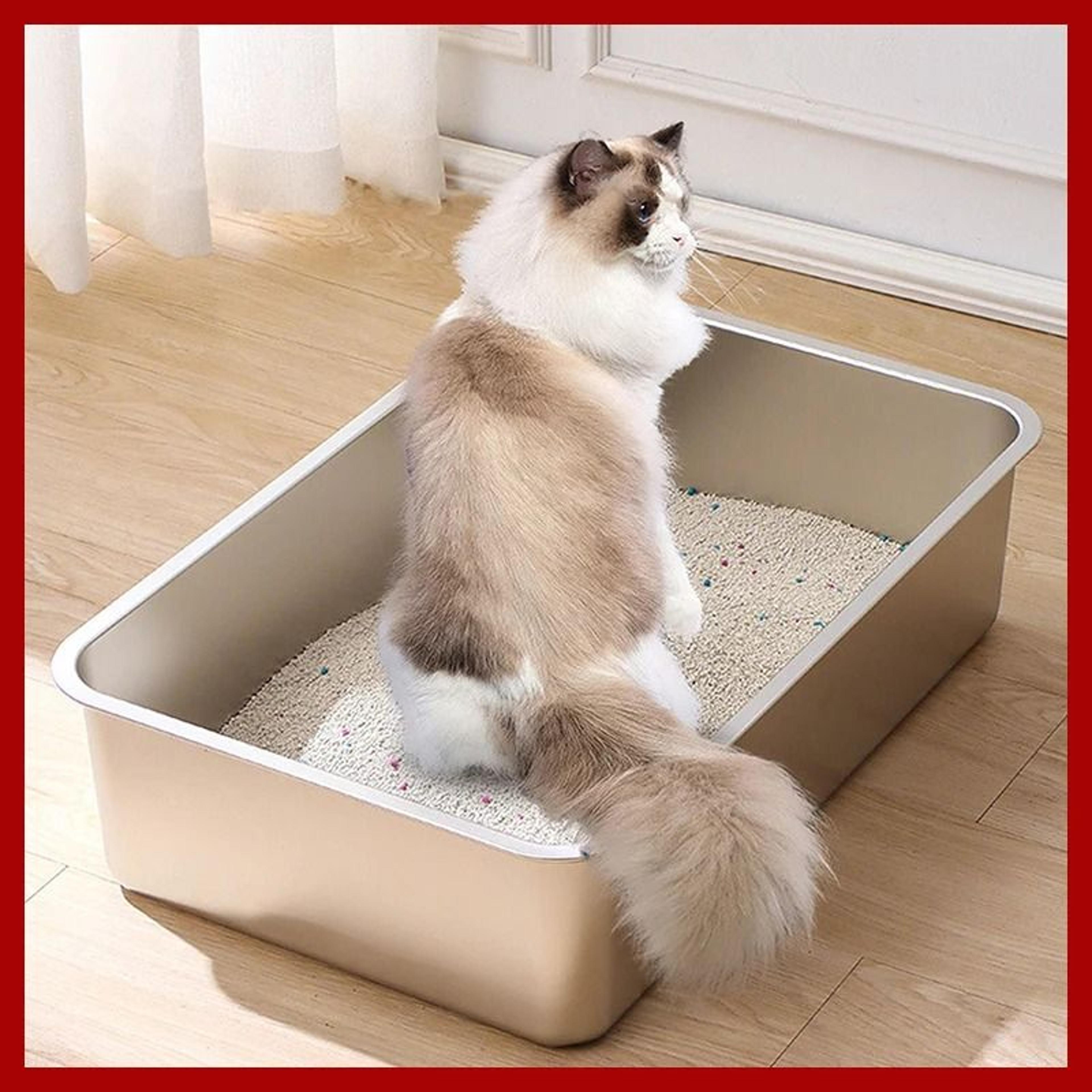 ultra-hygienic 304 stainless steel litter basin