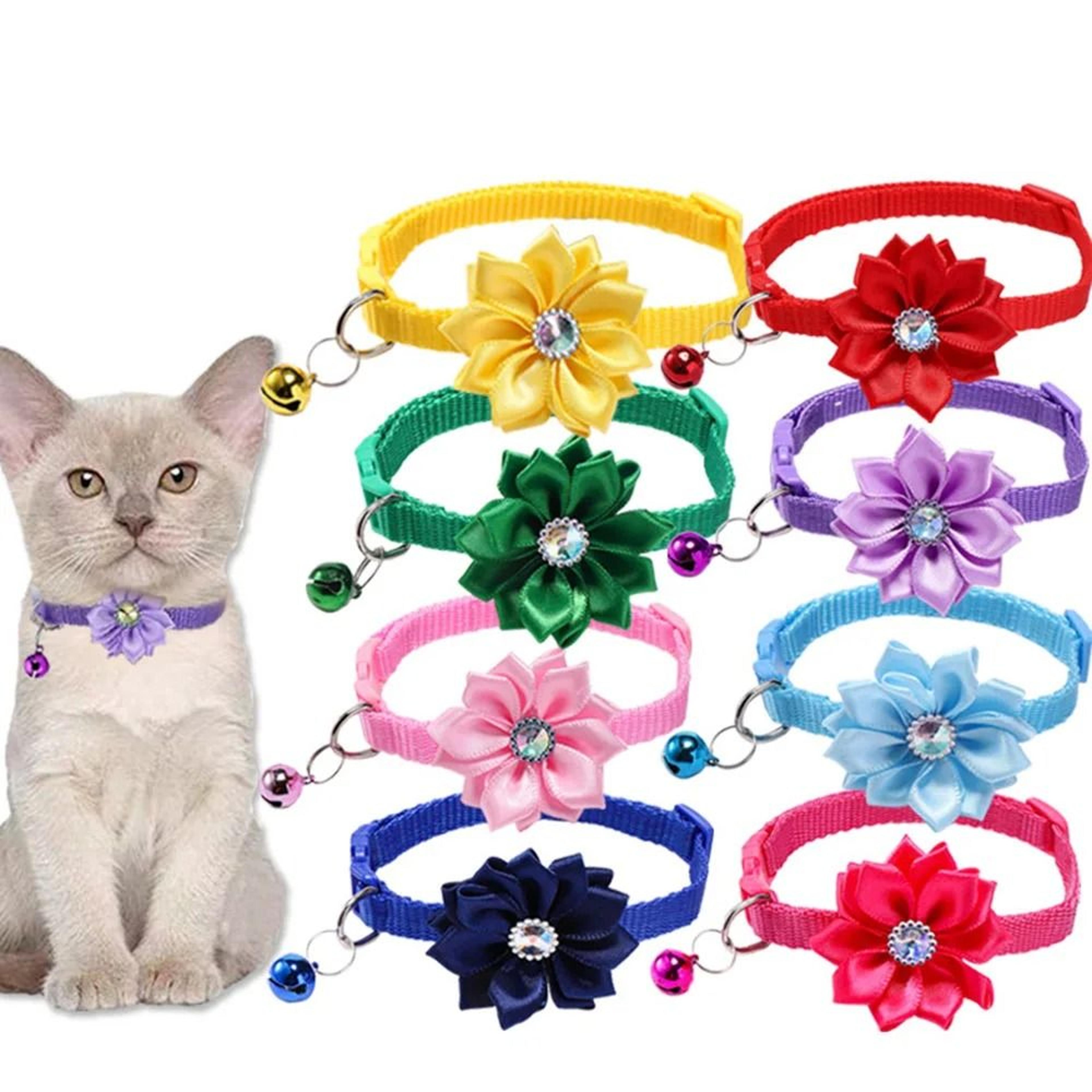 petal-perfect floral breakaway cat collar