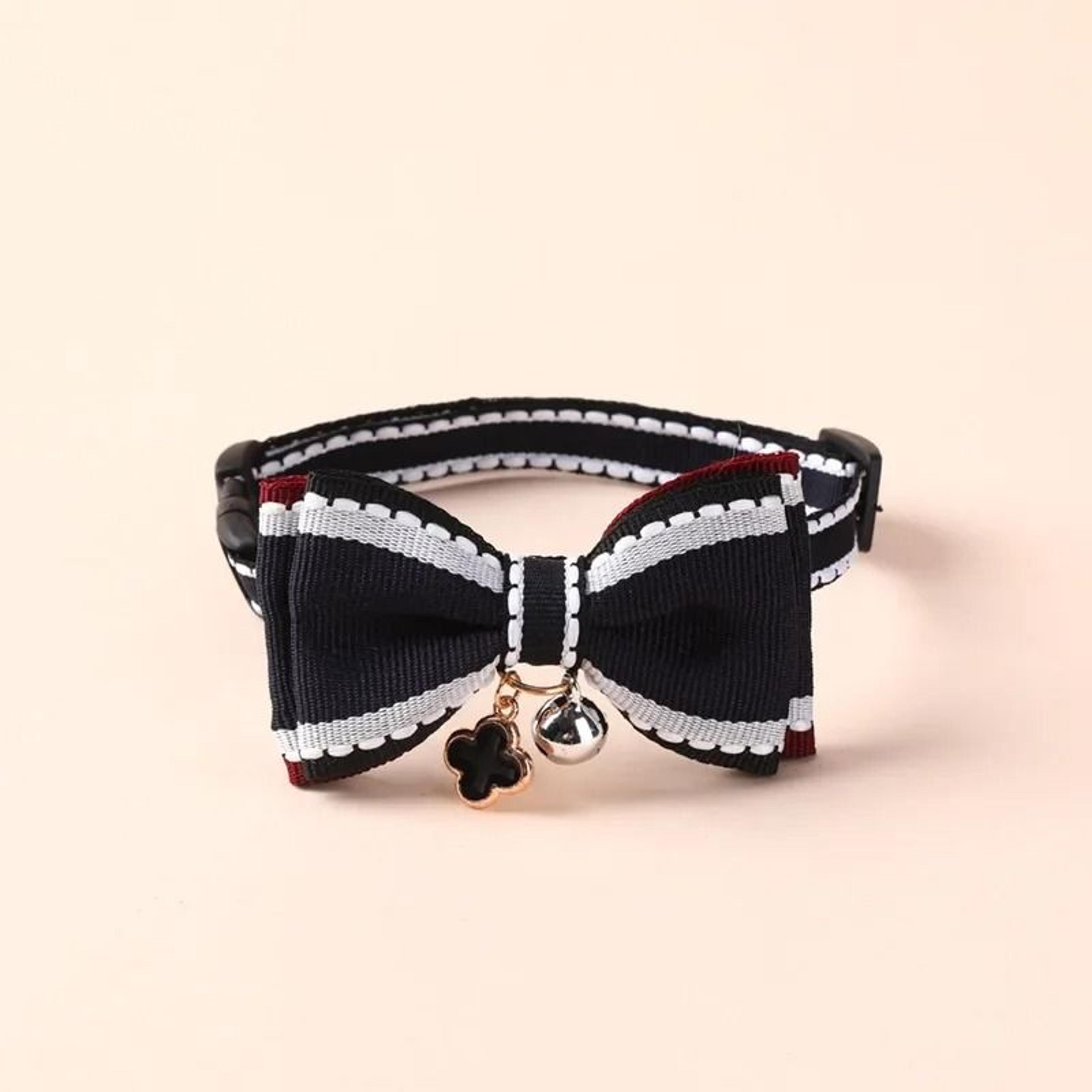 Bespoke Padded Leather ID Collar  Leash Set 8