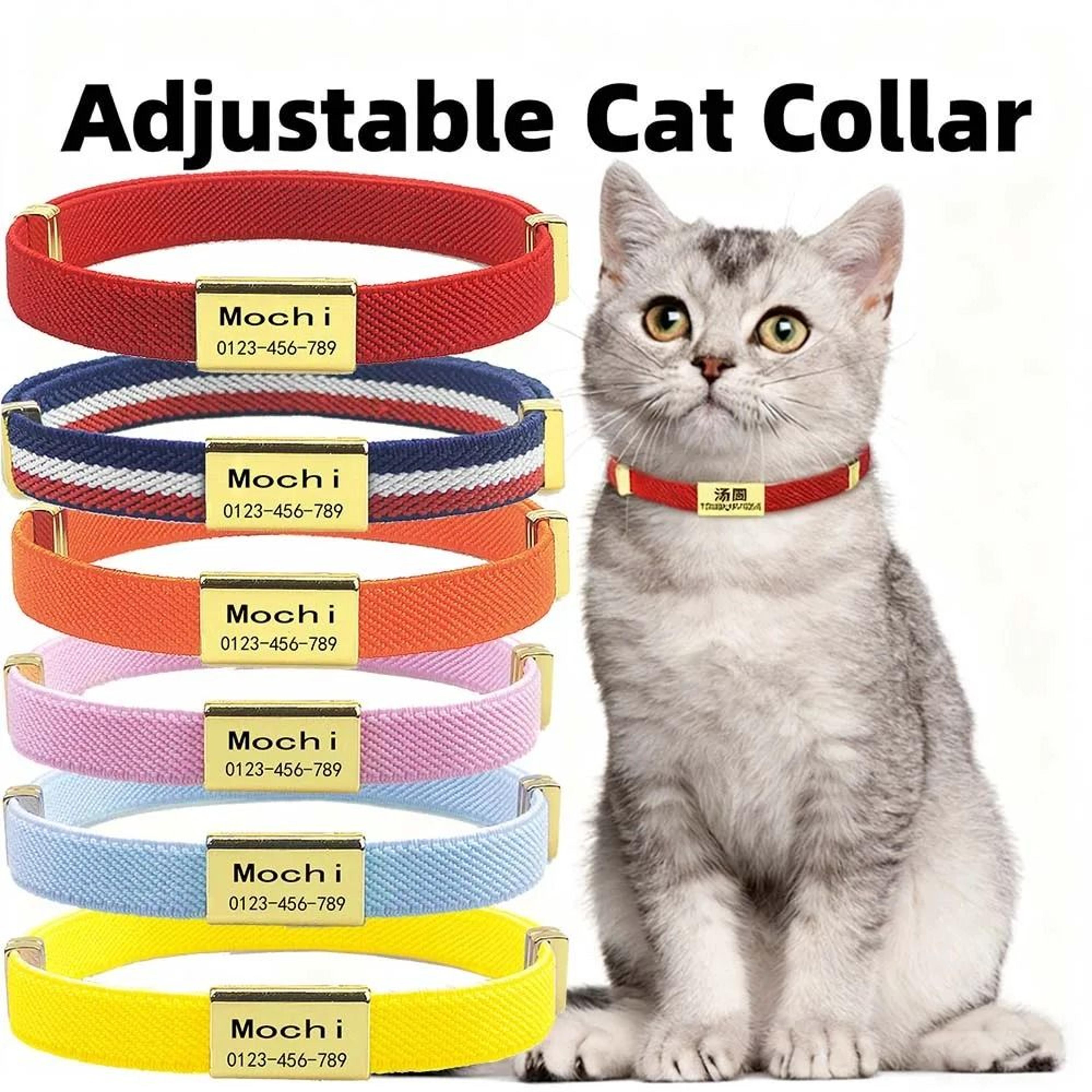 scratch-resistant engraved id cat collar