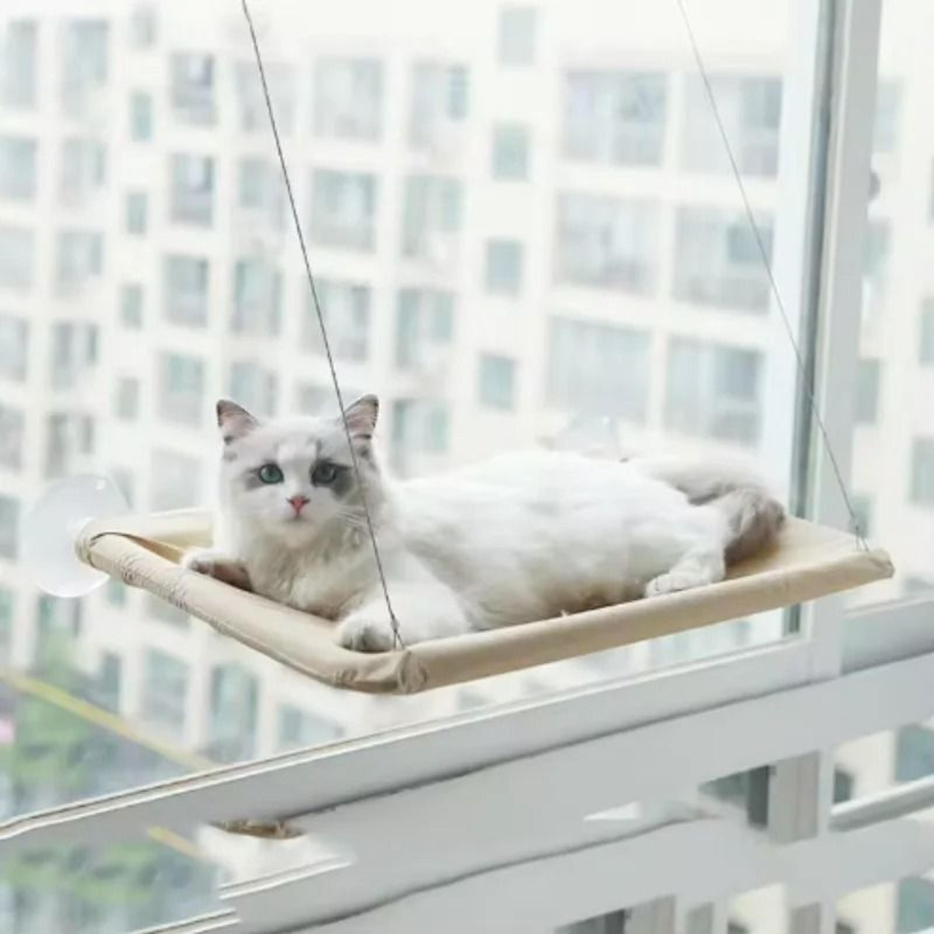 Sunny Window Mounted Cat Hammock 4