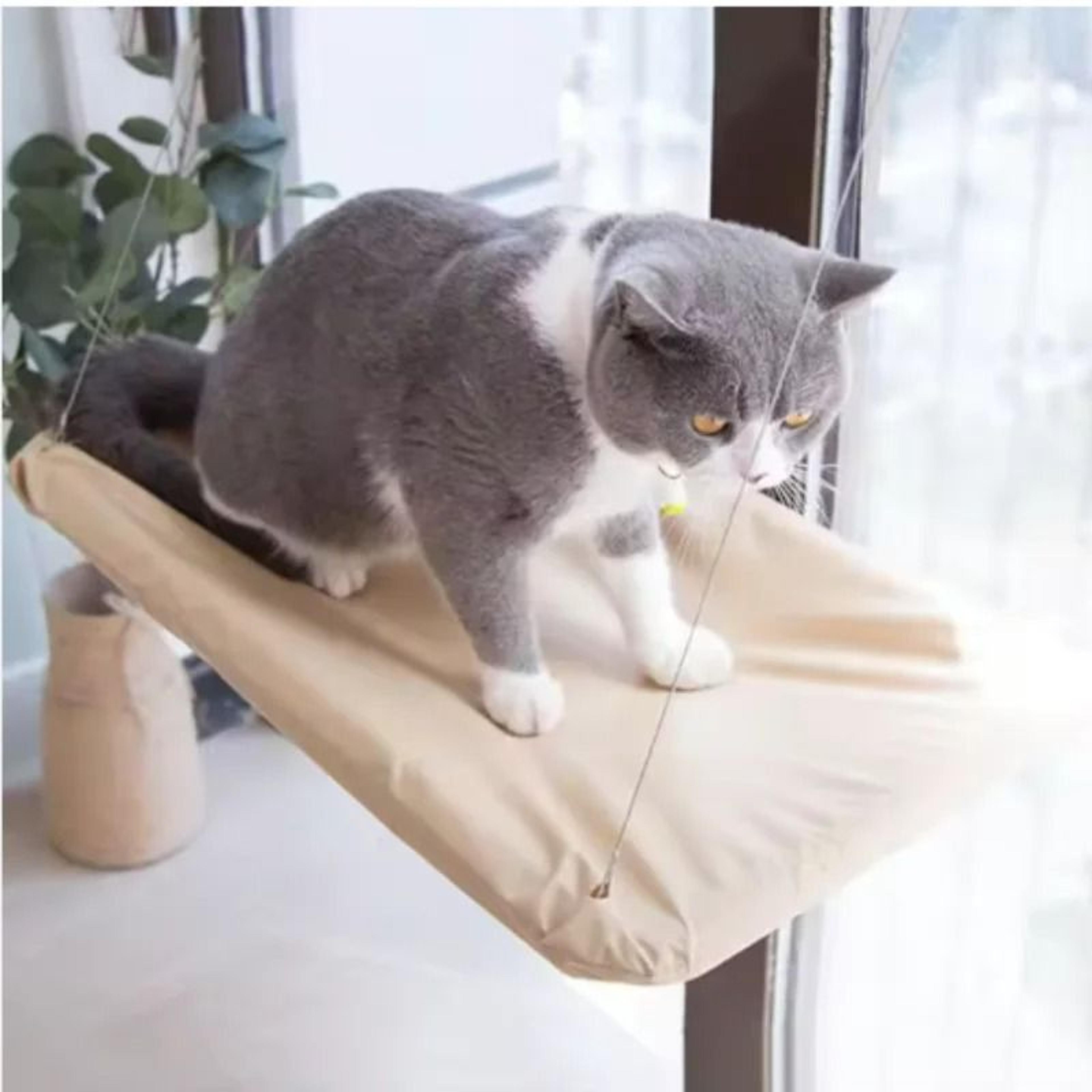 Sunny Window Mounted Cat Hammock 5