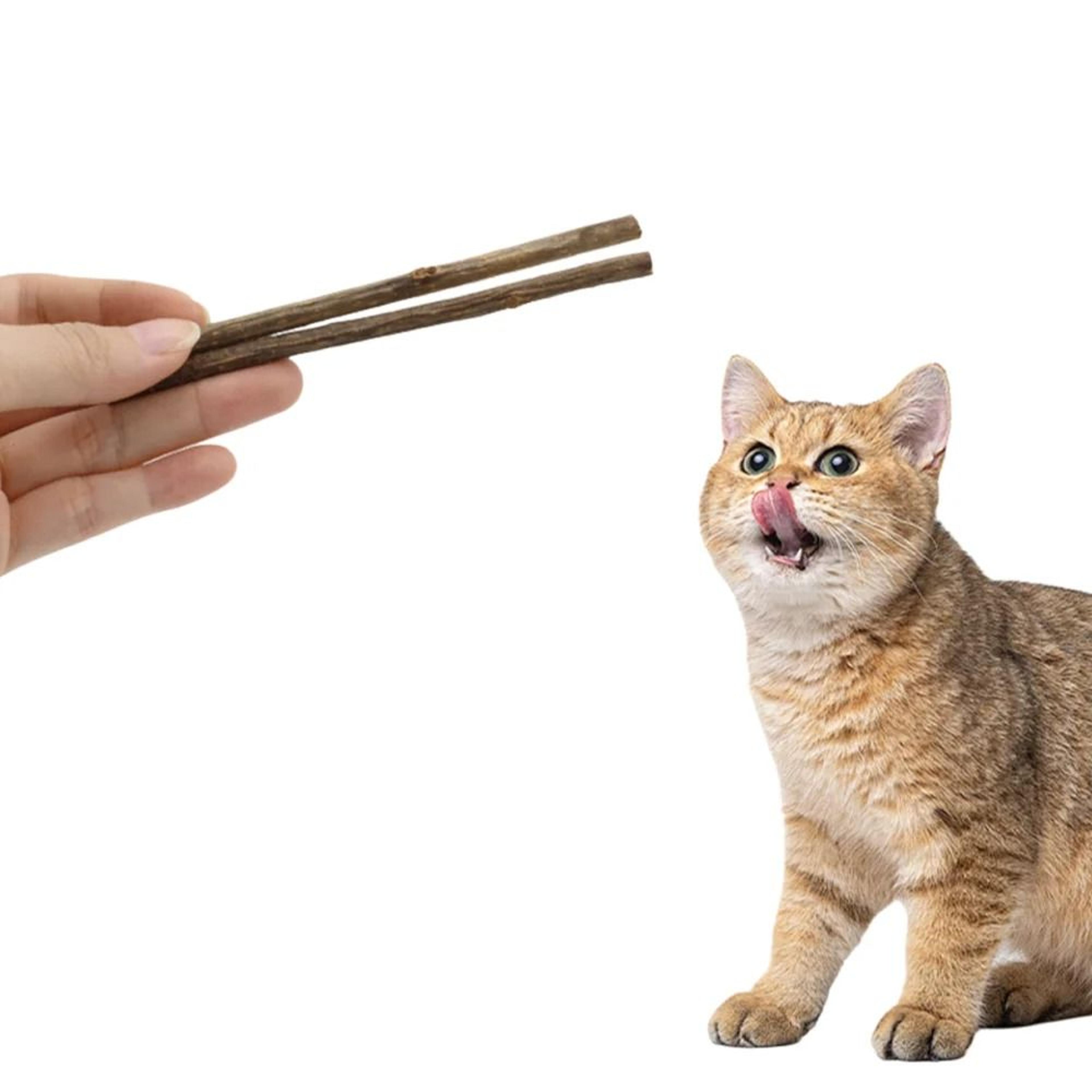 Natural Matatabi Dental Chew Sticks 5
