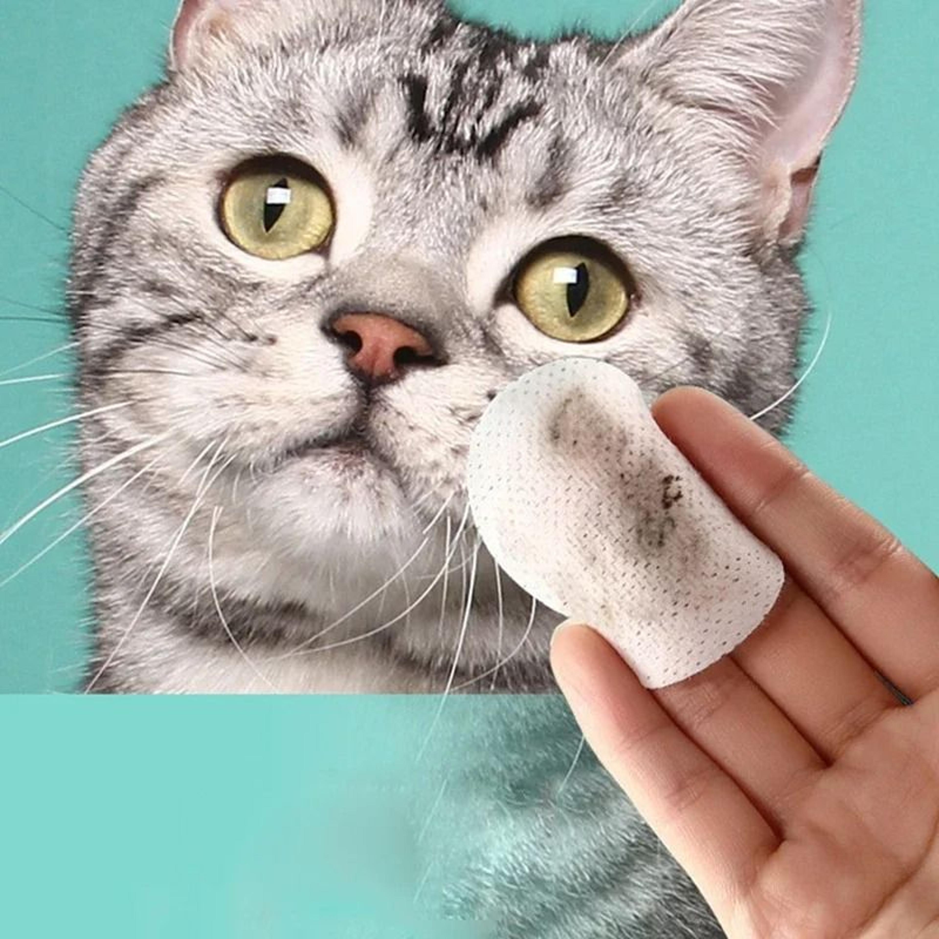 Gentle Pet Eye Tear Stain Remover Wipes 130 Count 1