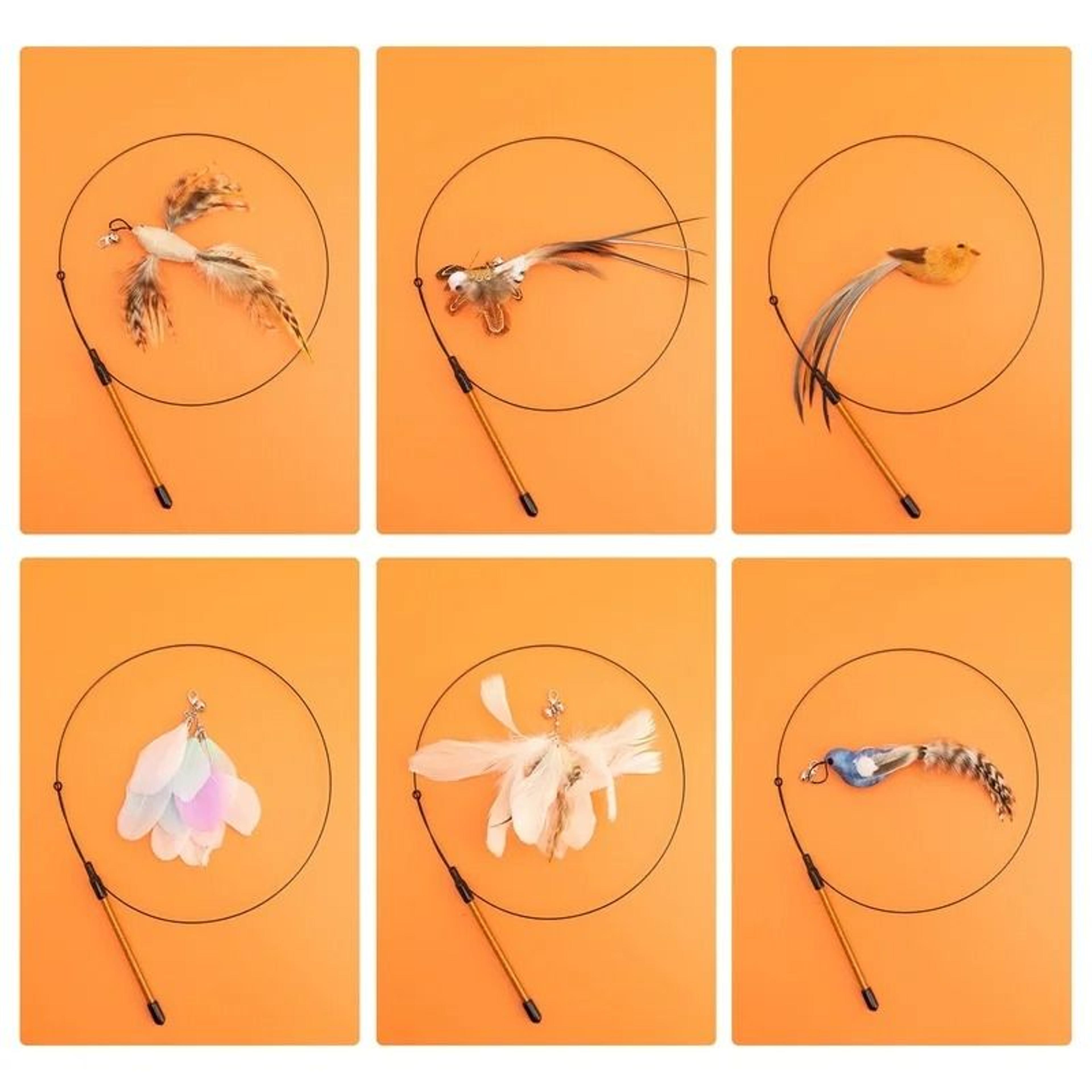 Interactive LongReach Simulation Bird Feather Teaser Wand 4