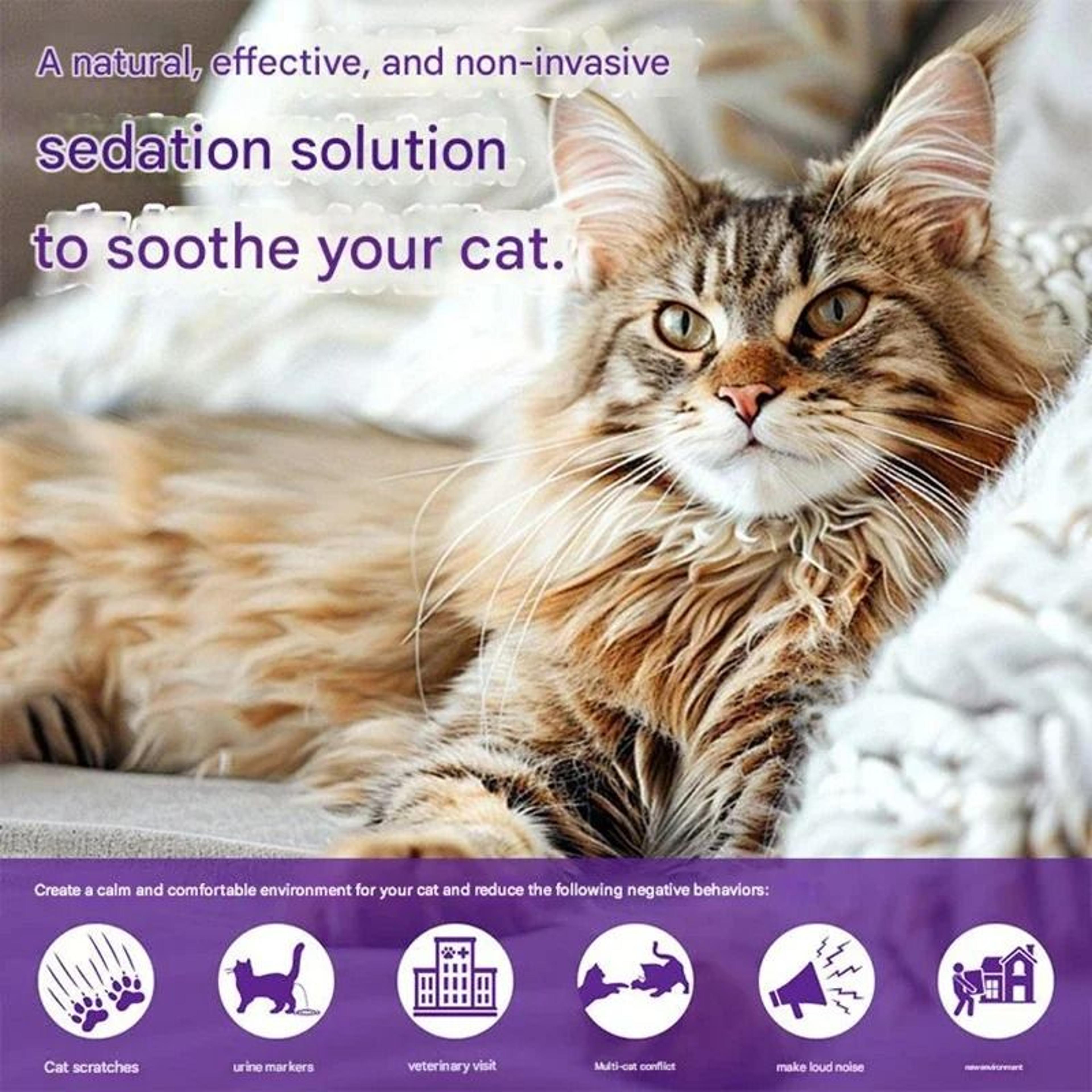 4in1 Pet Pheromone Calming Electric Heating Diffuser Set 1