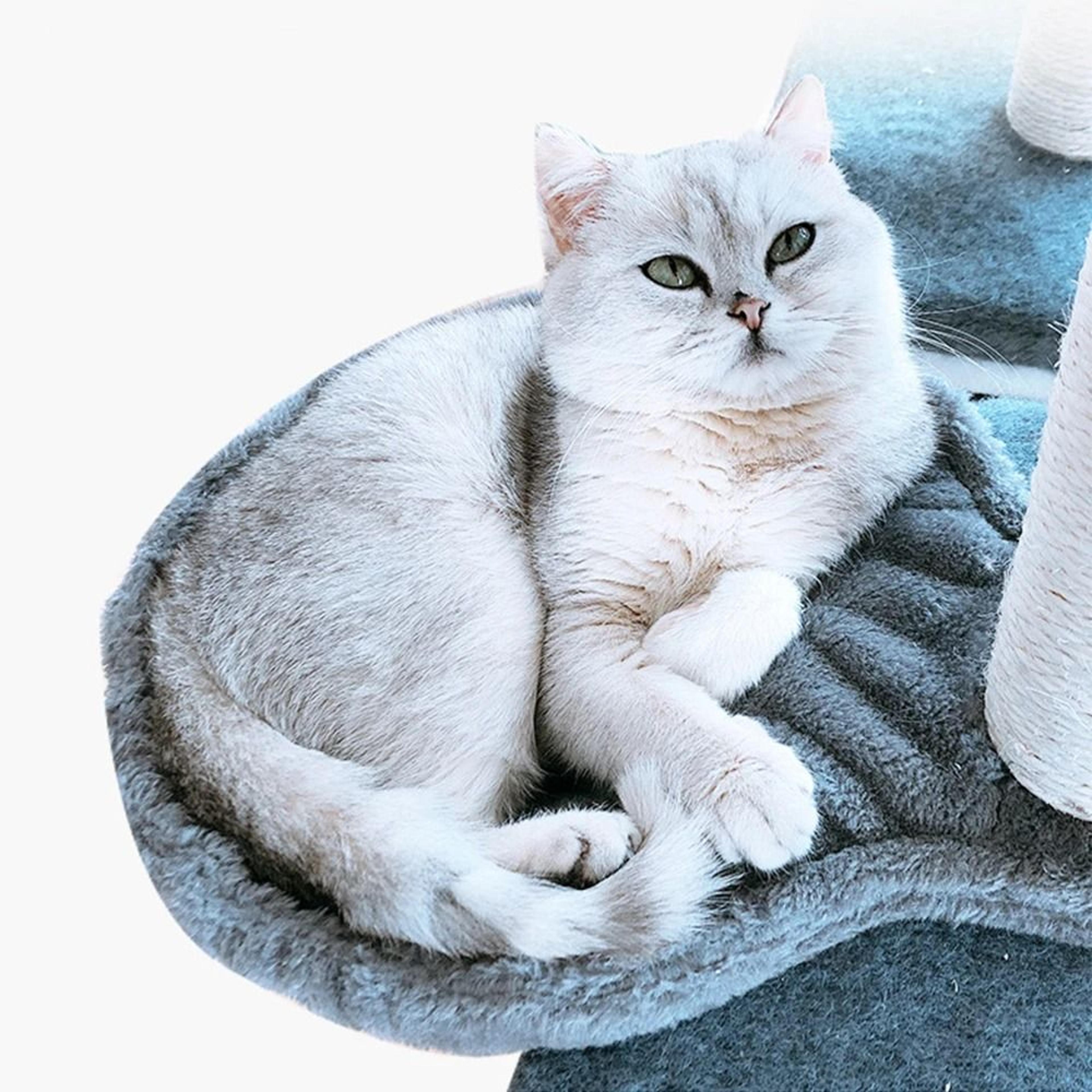 Soft Plush Cat Tree Spoon Hammock Bed 3