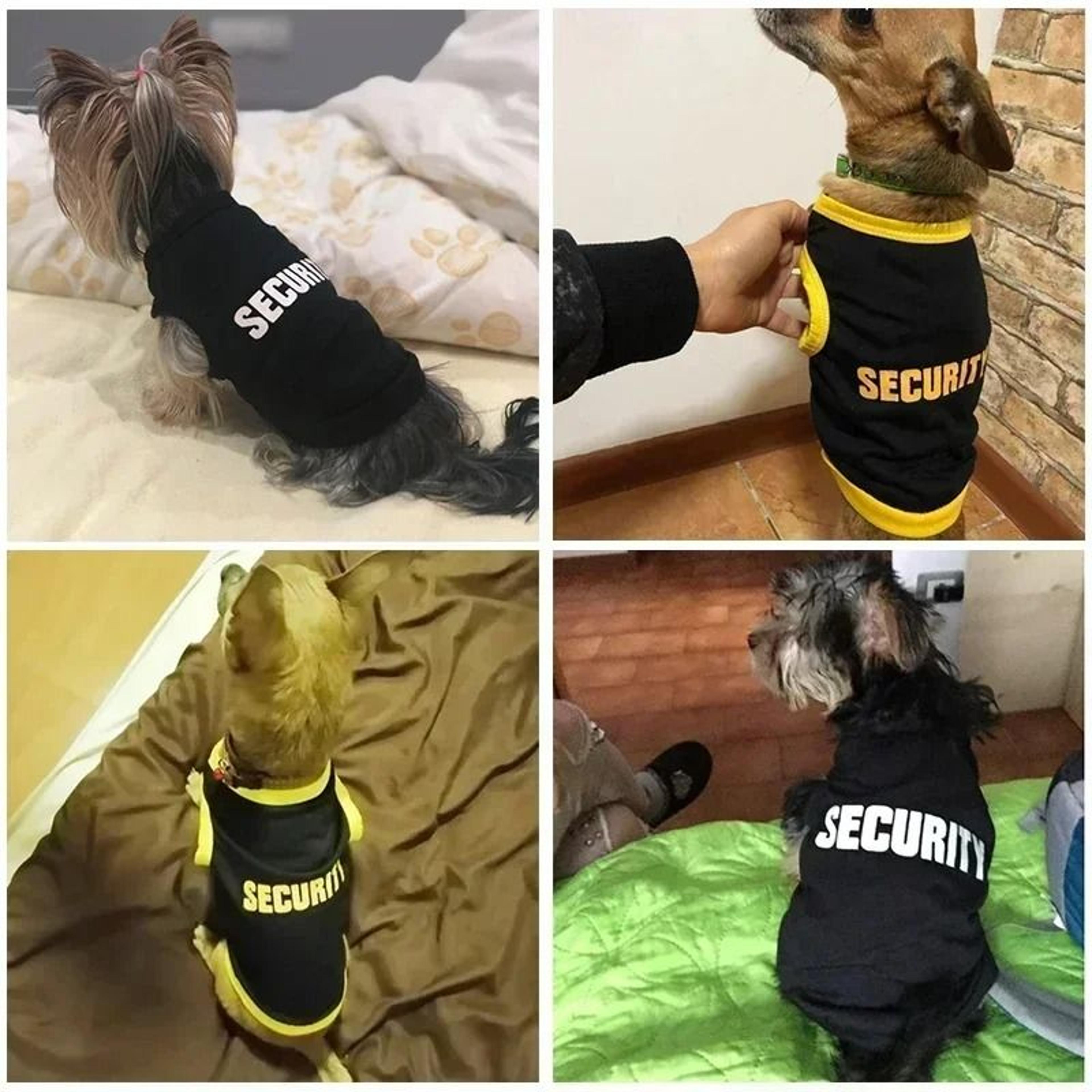 Printed Pet Security Vest TShirt 4