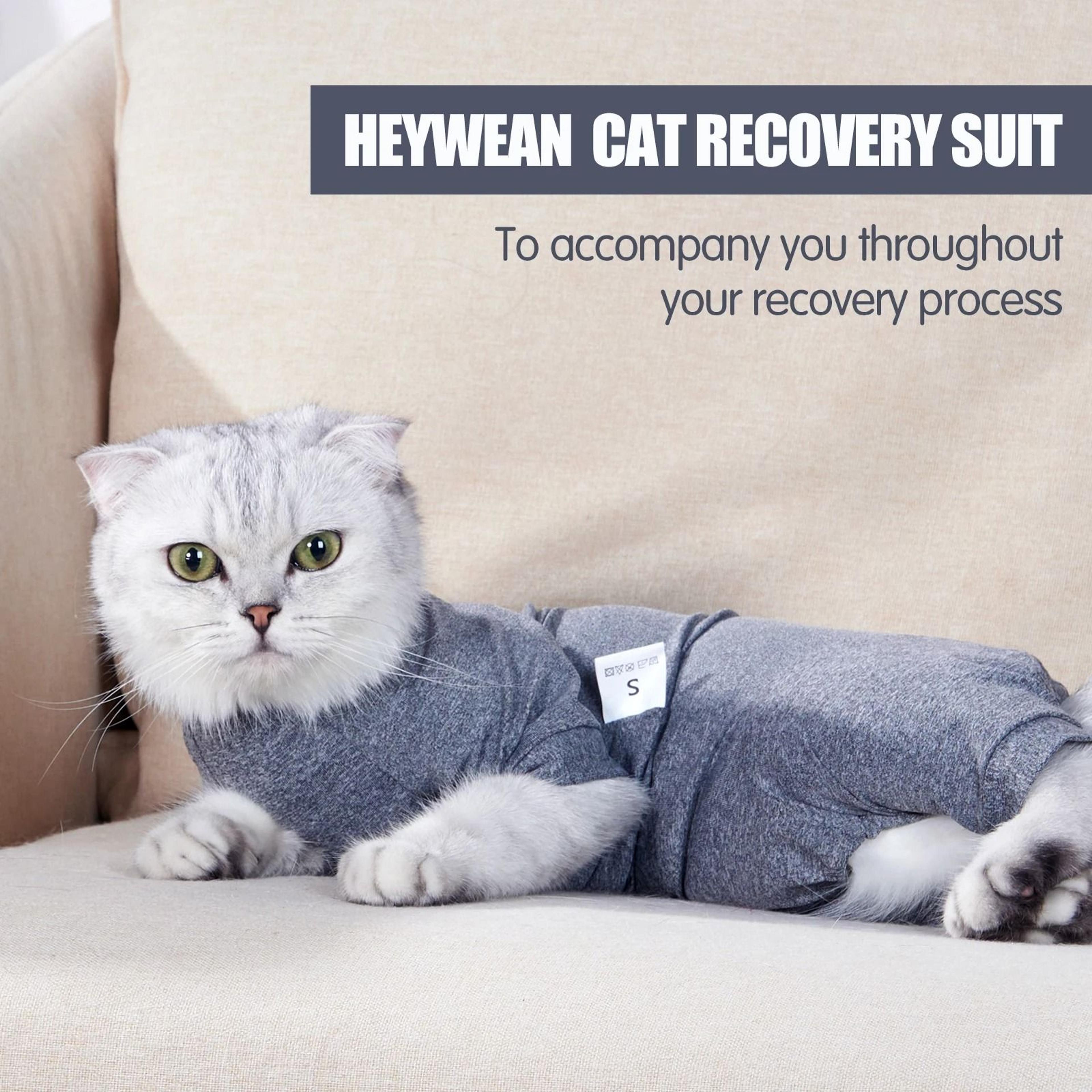 Cotton Pet Surgery Recovery Suit 1
