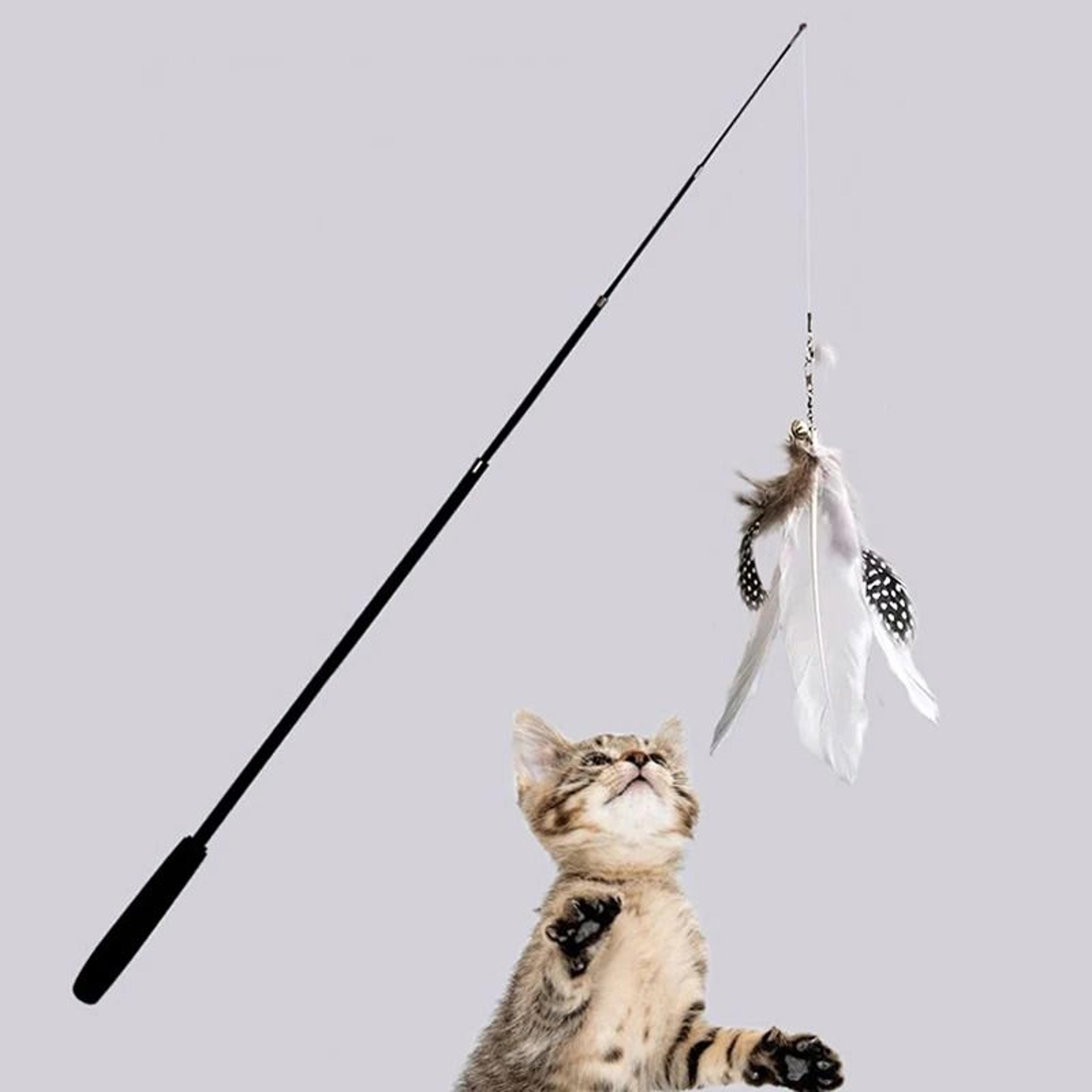Extended Telescopic ExtraLong Cat Teaser Wand 2