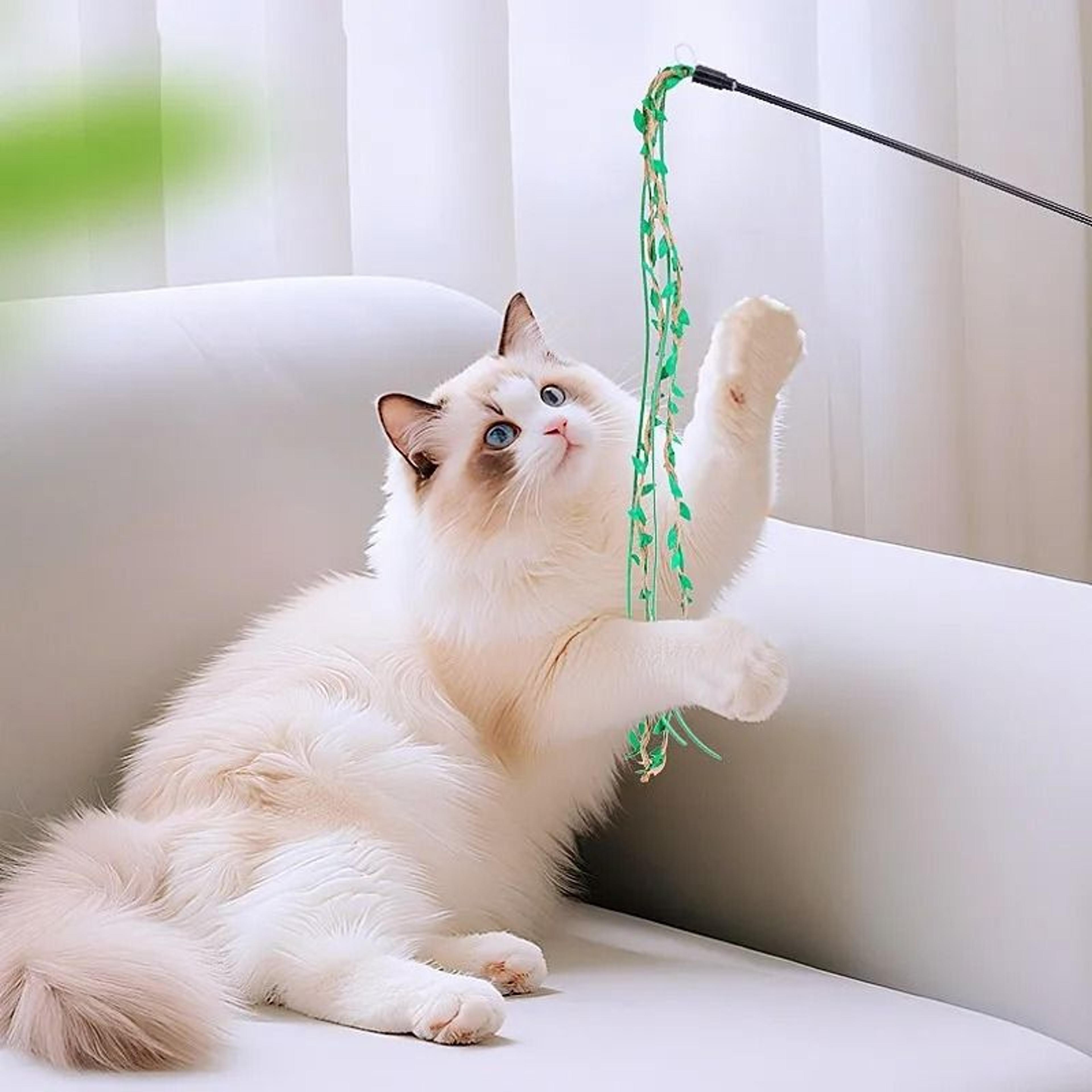 Interactive Vine Tassel Cat Teaser Wand 3