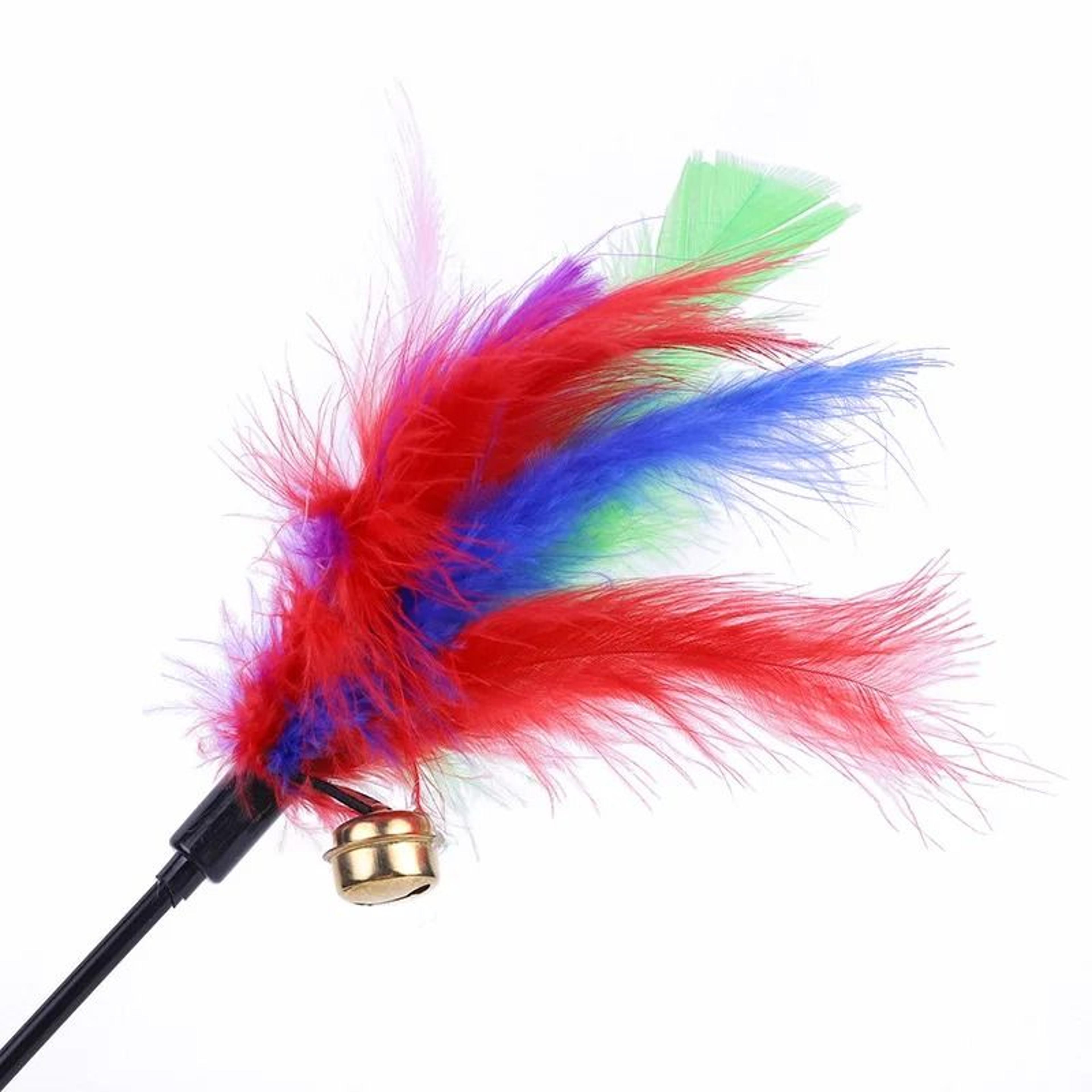 5Piece Interactive Cat Teaser Wand Set 2
