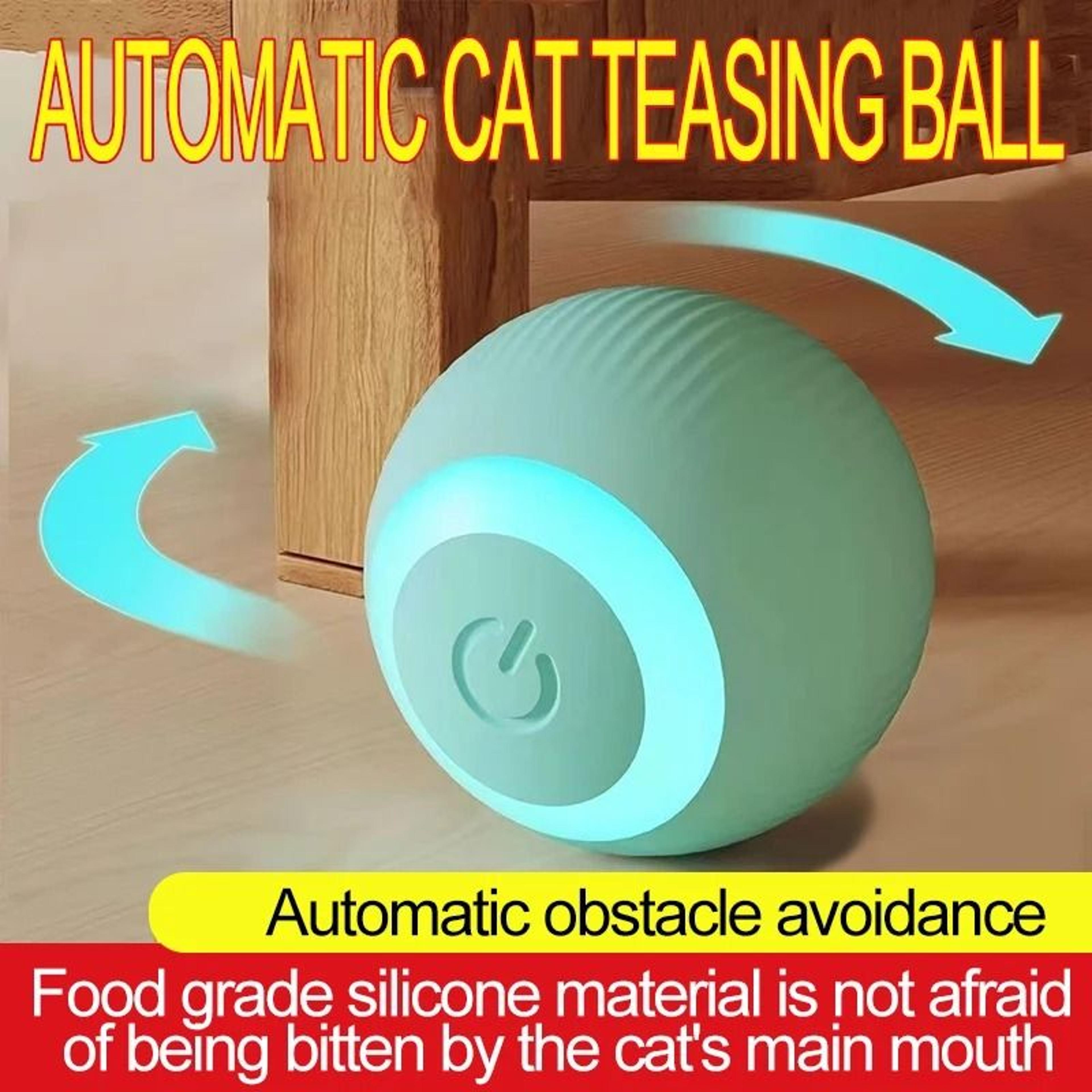 New Interactive Automatic Electric Rolling Cat Ball MWJ01 1