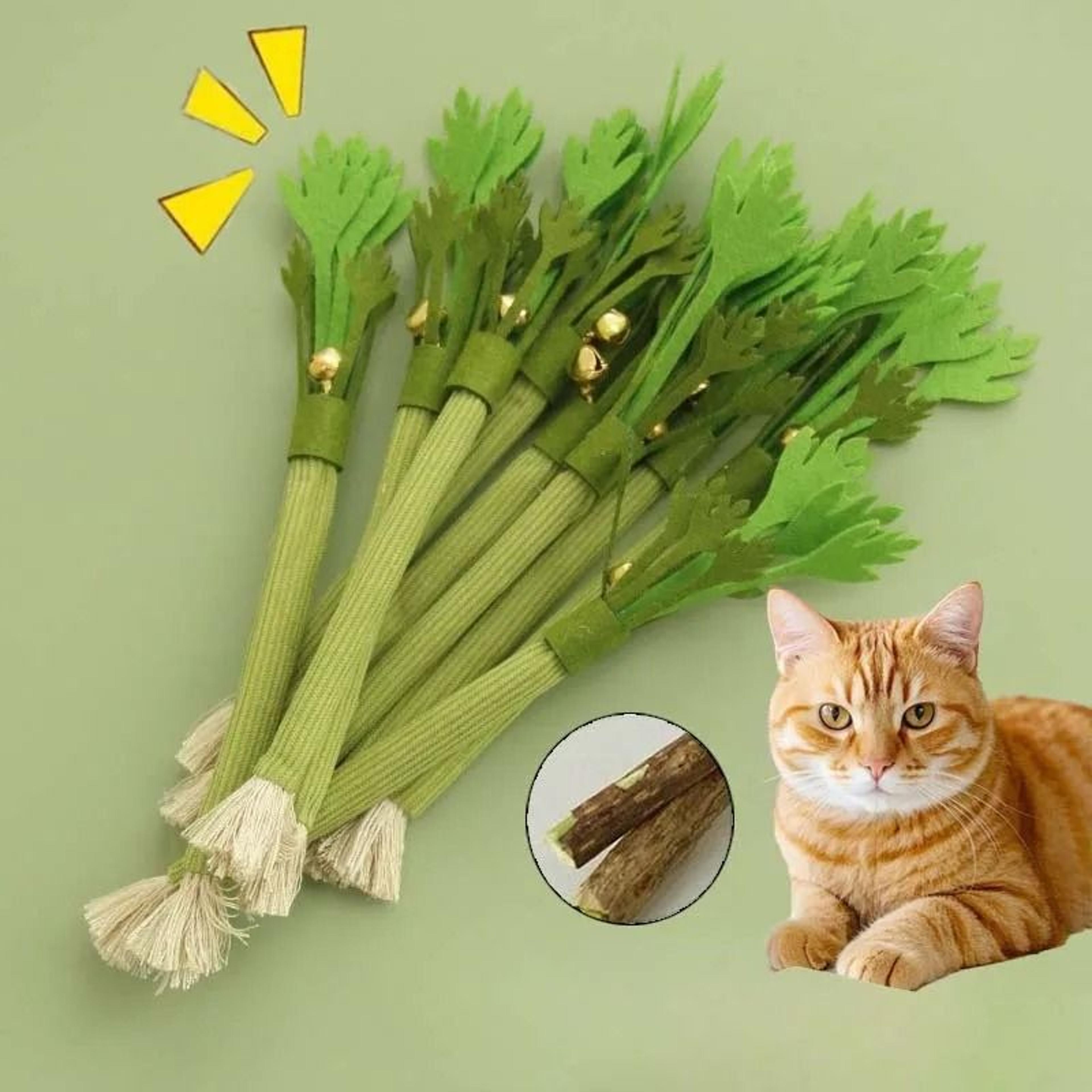 natural catnip molar stick teaser toy with bell