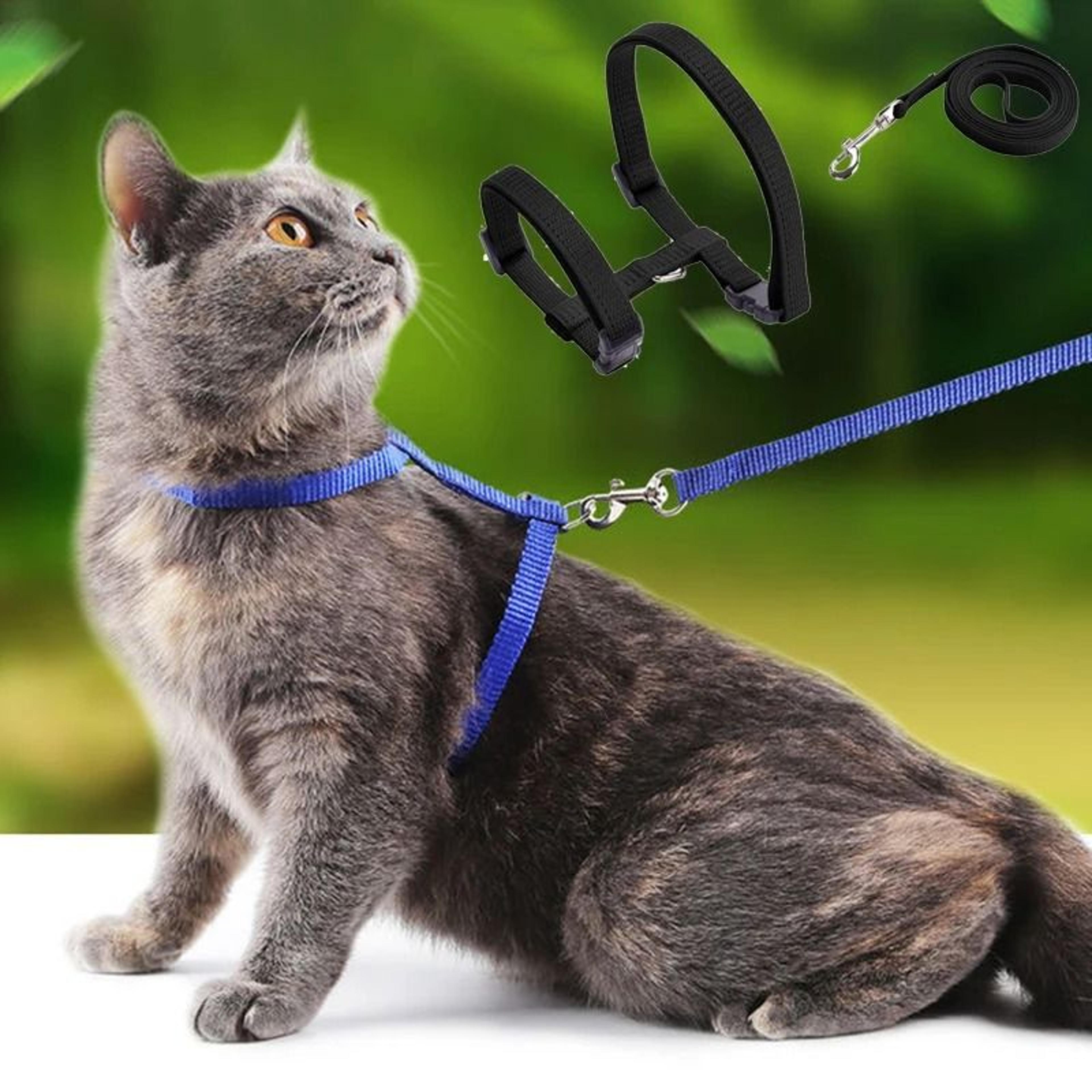 sphynx cat adjustable harness and leash set