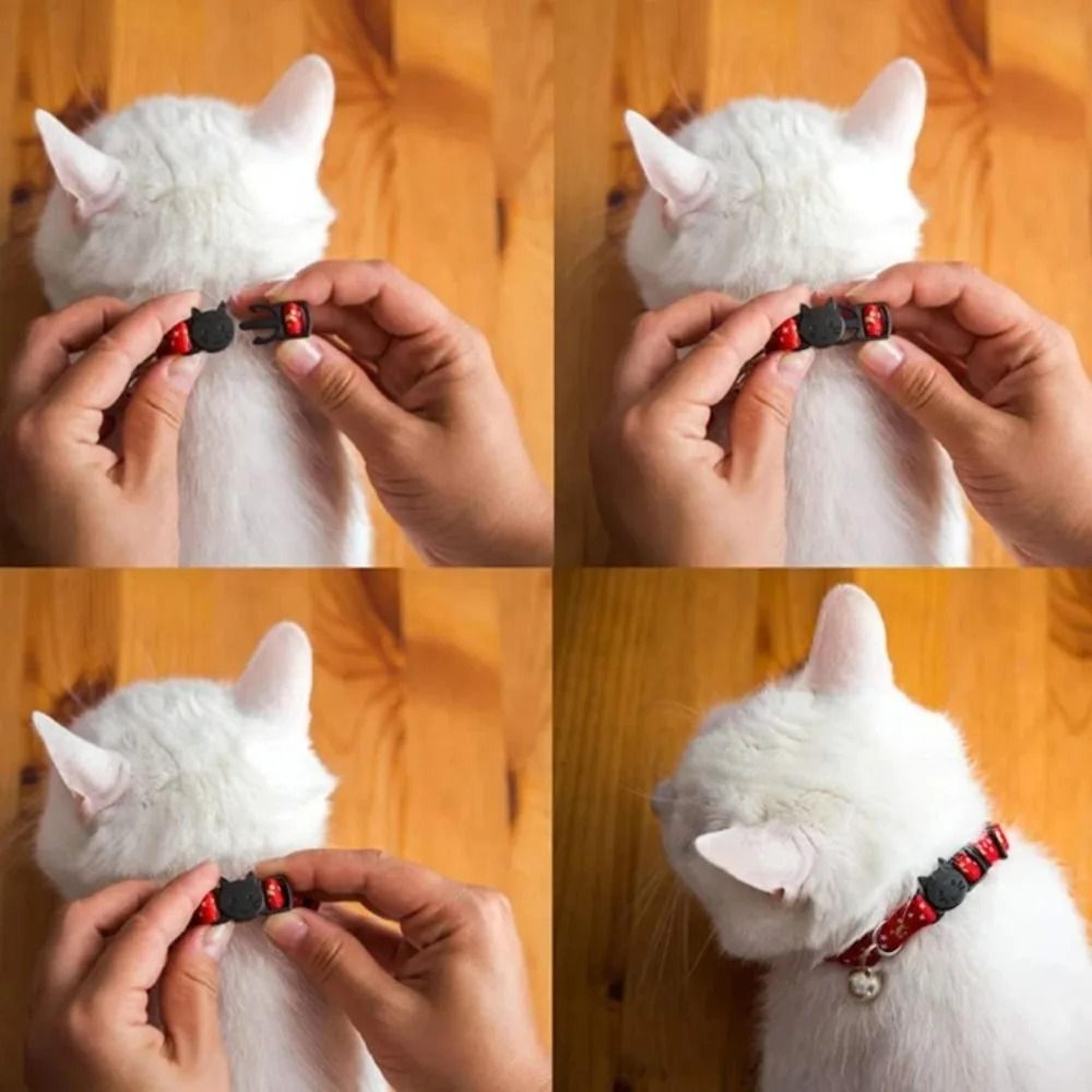 Customized Reflective Star Moon Cat Collar 2