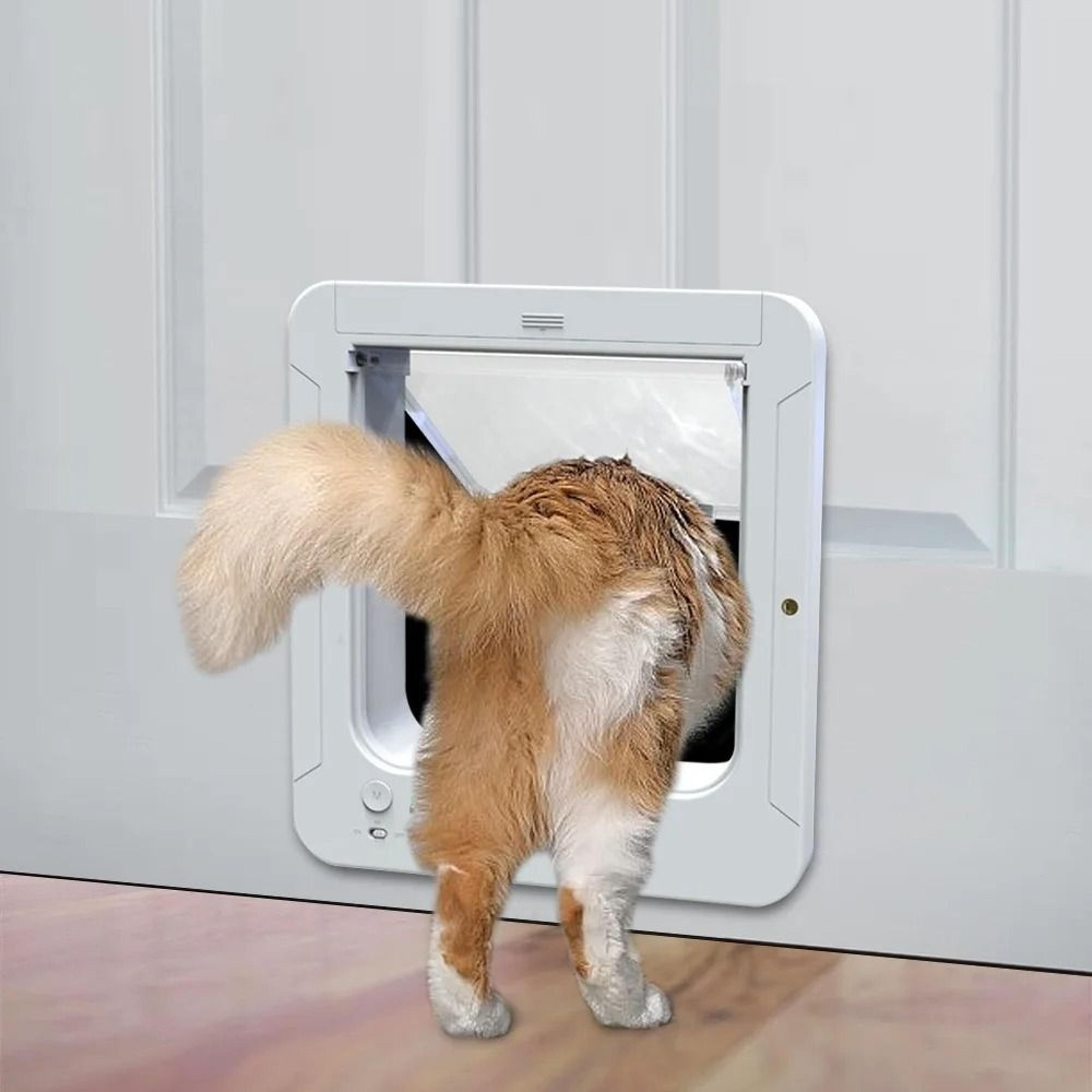 Electronic Induction Smart Microchip Pet Door 2