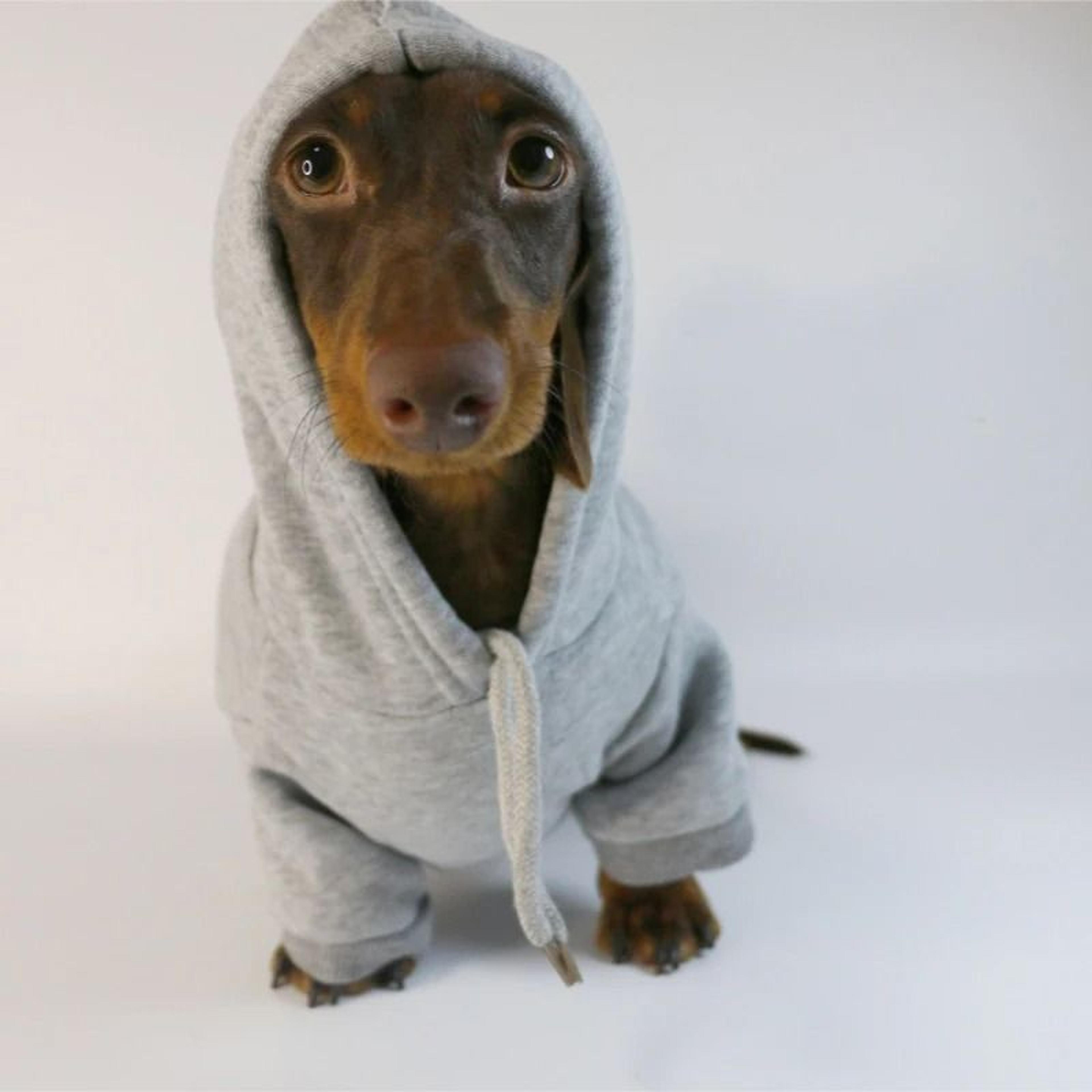 Cool Dog Sausage Pullover Hoodie 6
