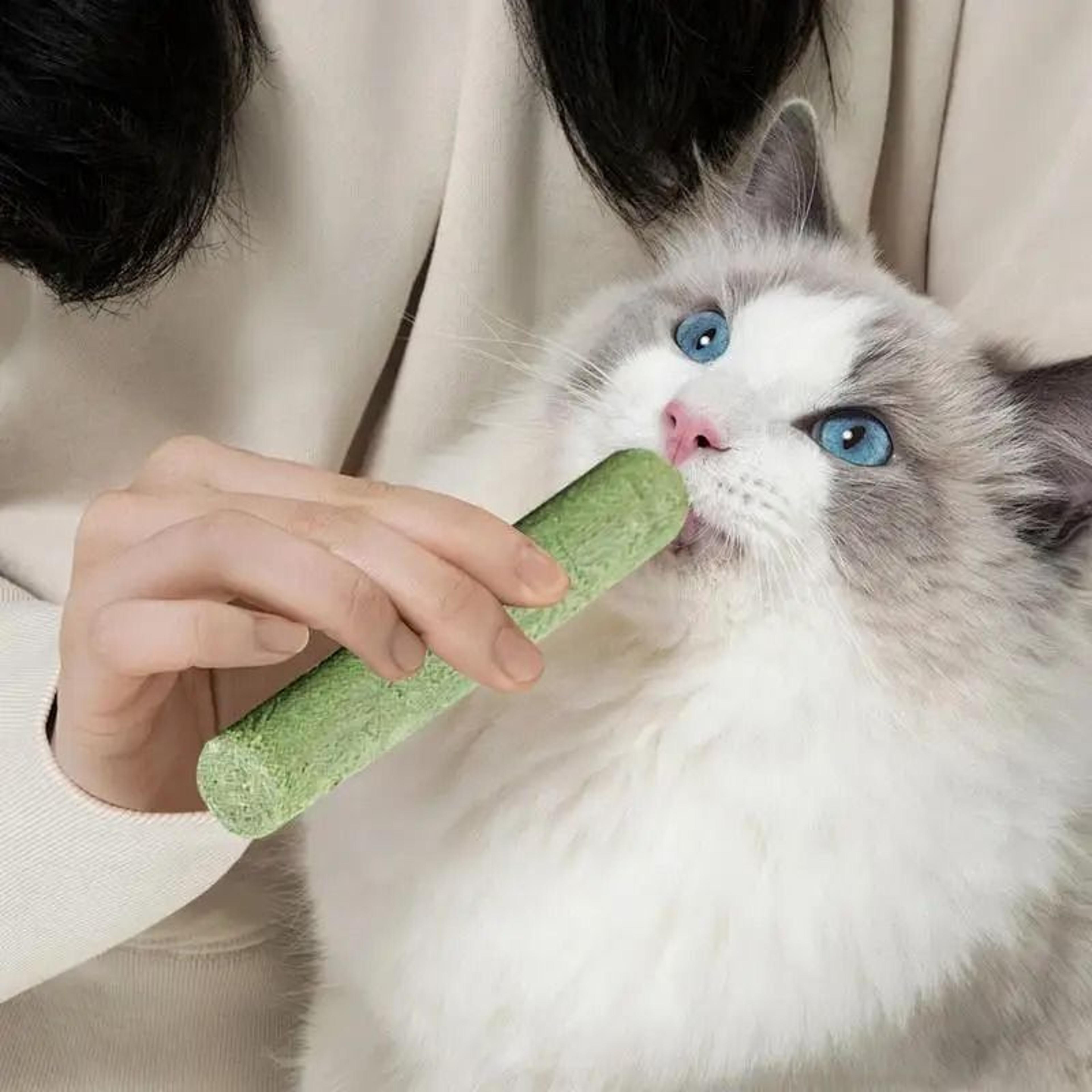 Cat Grass Teething Stick Pet Snack 1